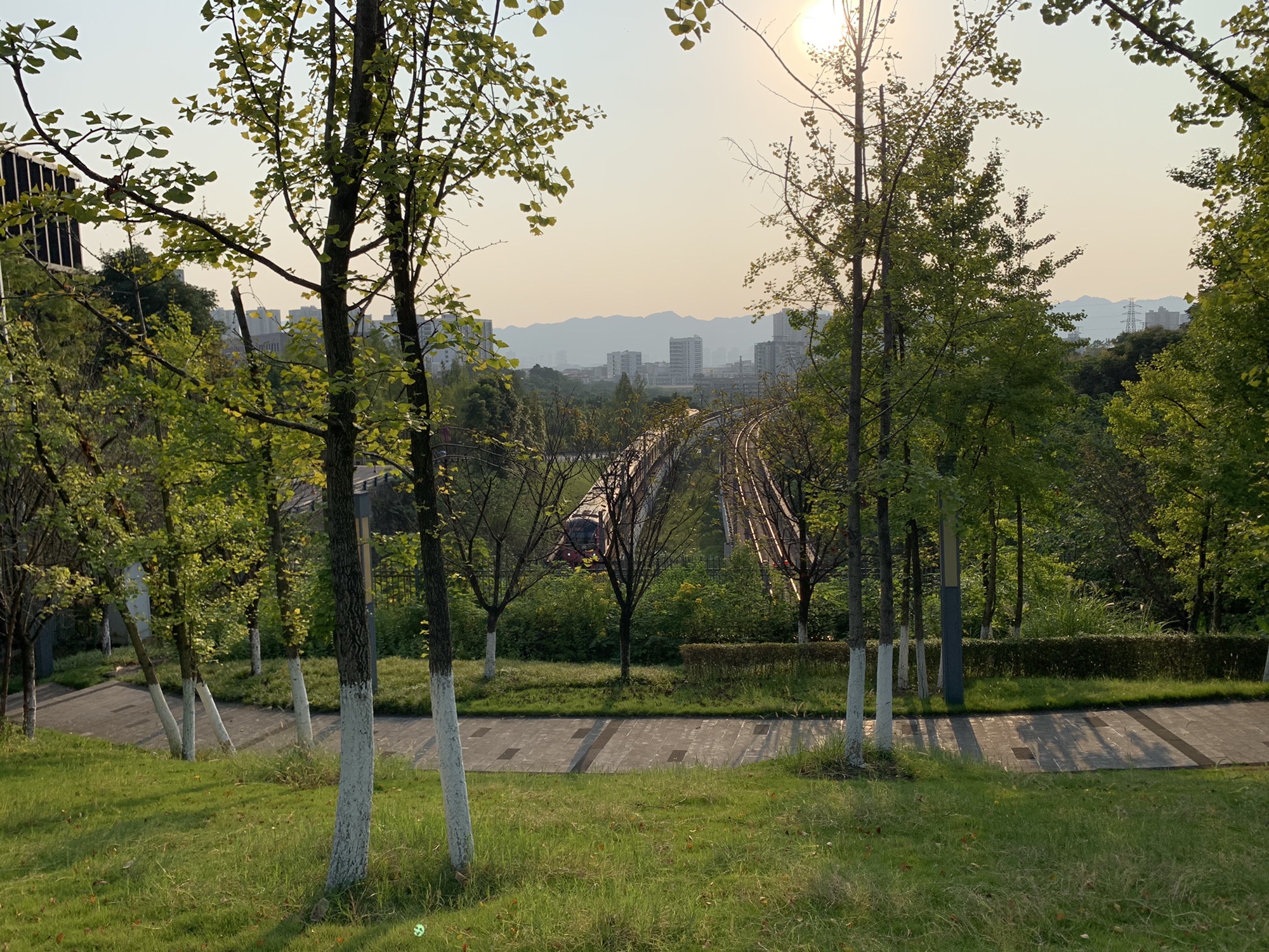 恋湖公园旅行图片 3
