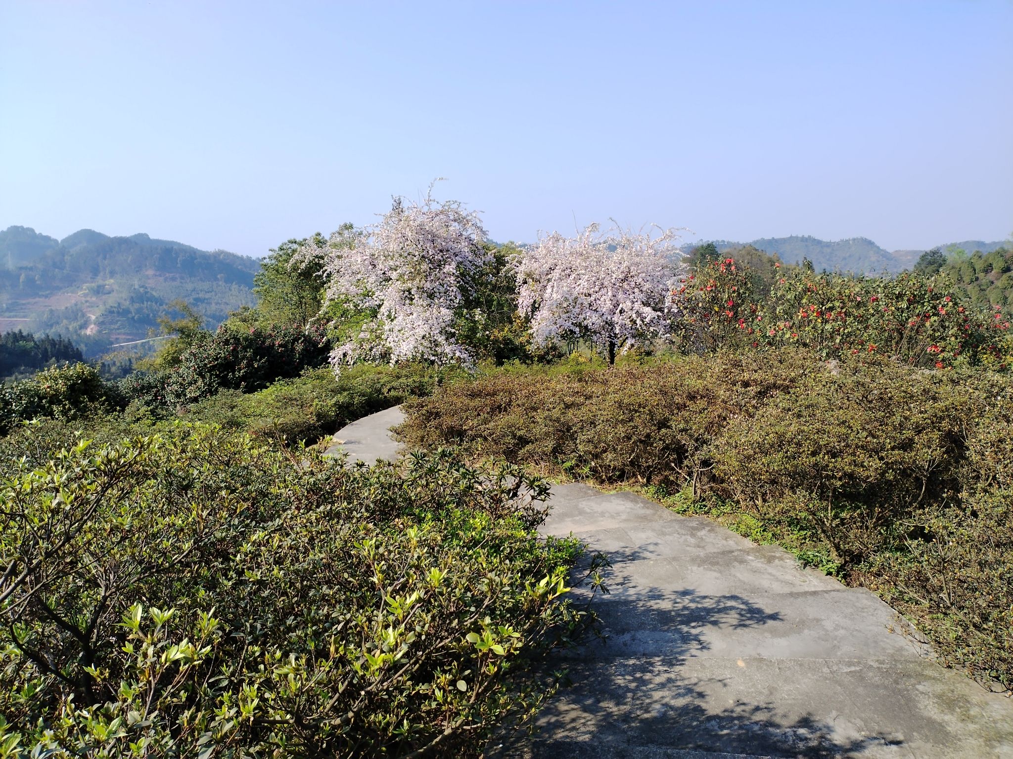 梦香山旅行图片 3