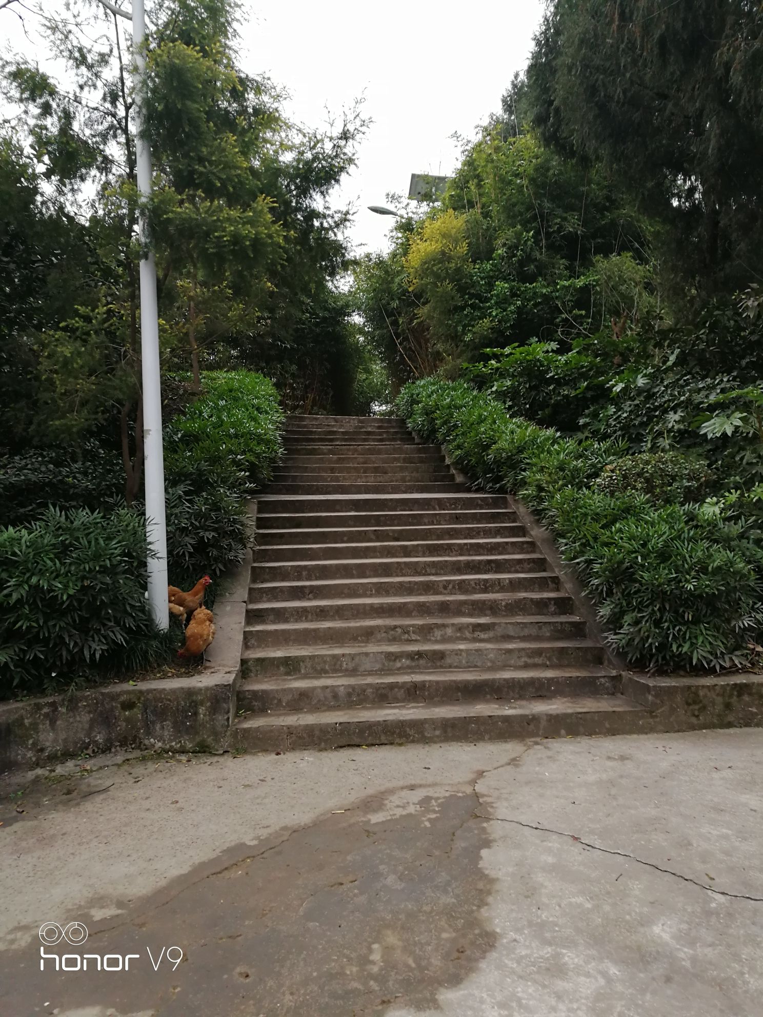 回龙镇文化体育公园旅行图片 1