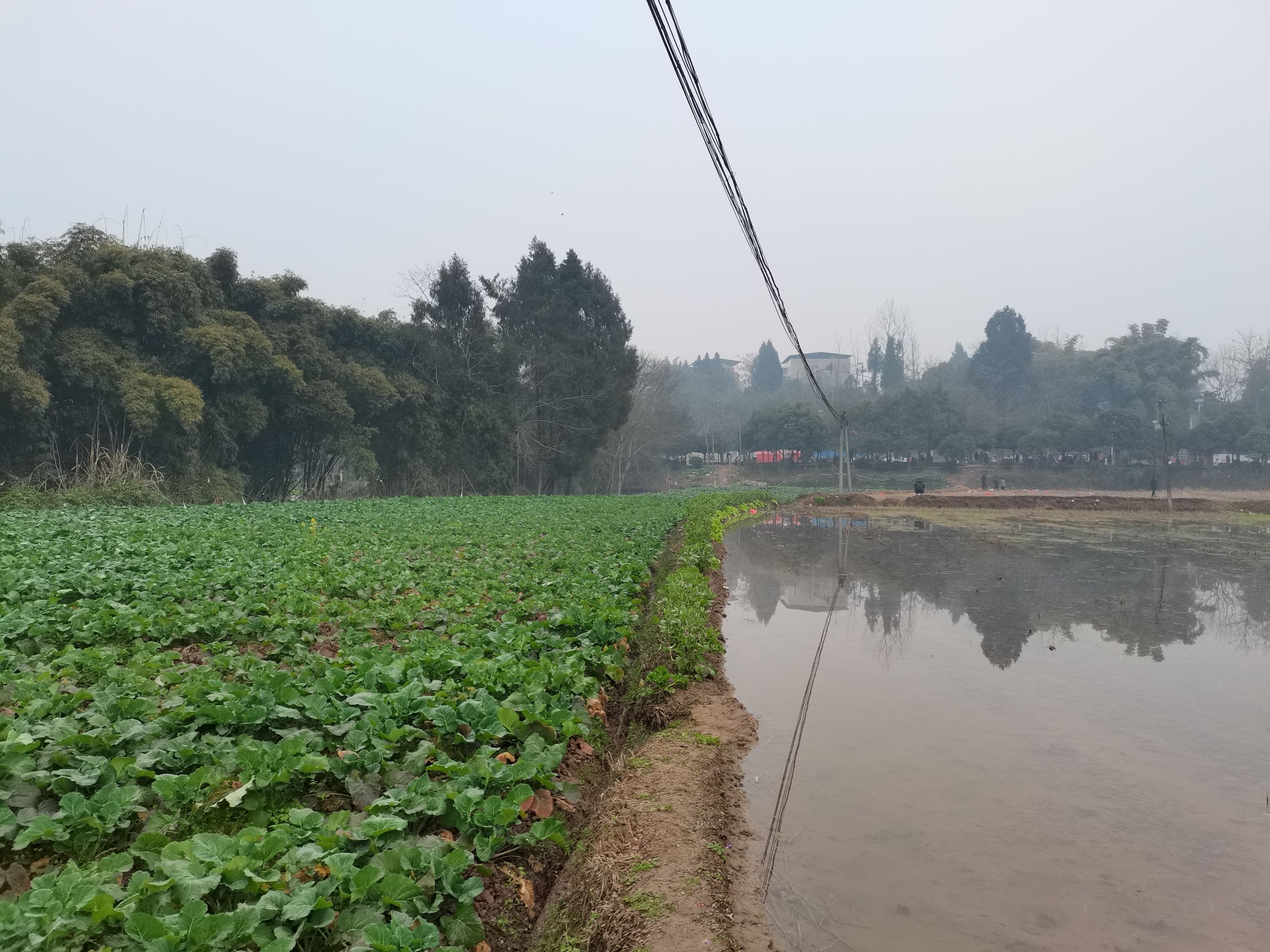 回龙镇文化体育公园旅行图片 2