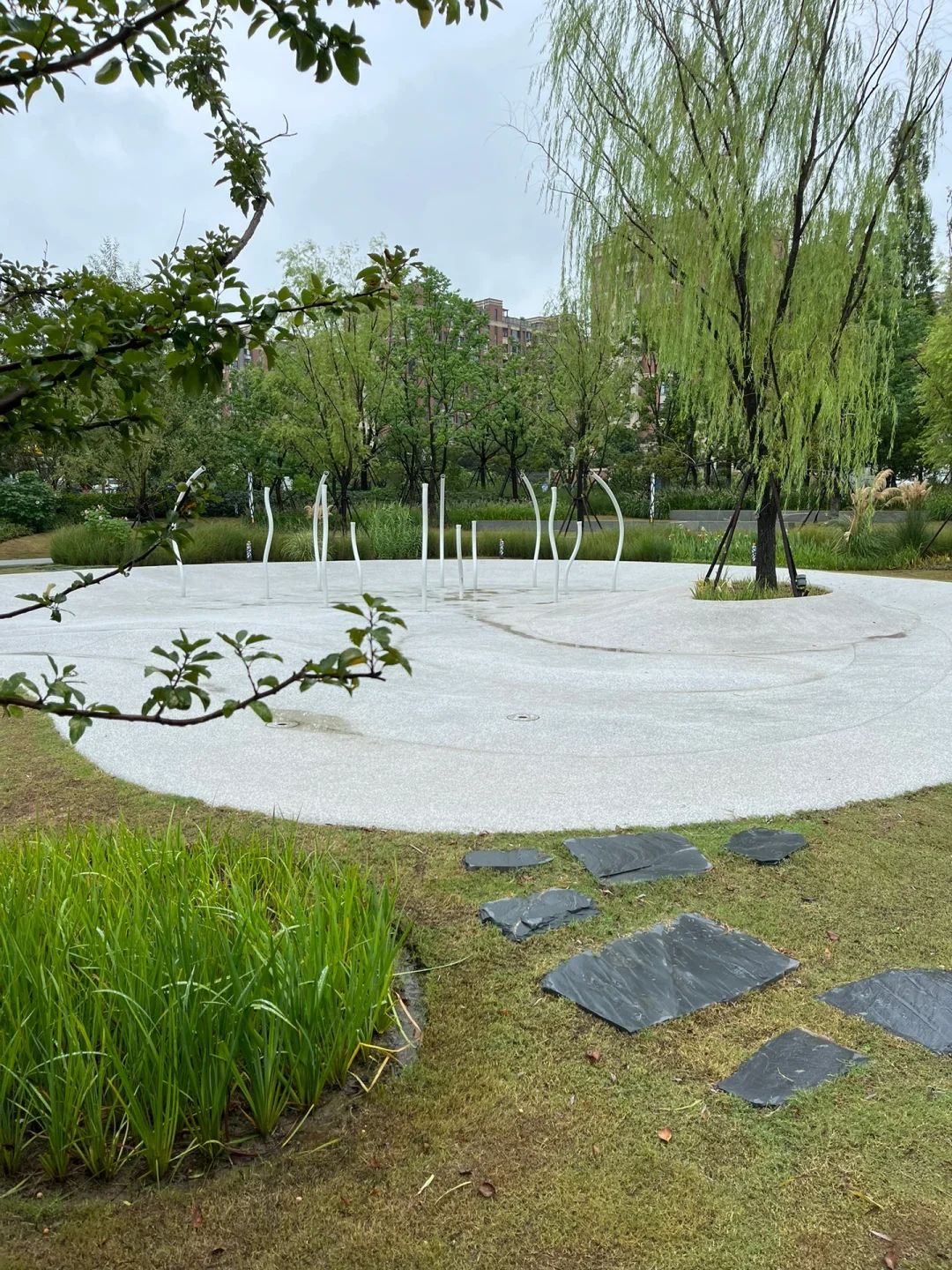 江心洲口袋公园旅行图片 3