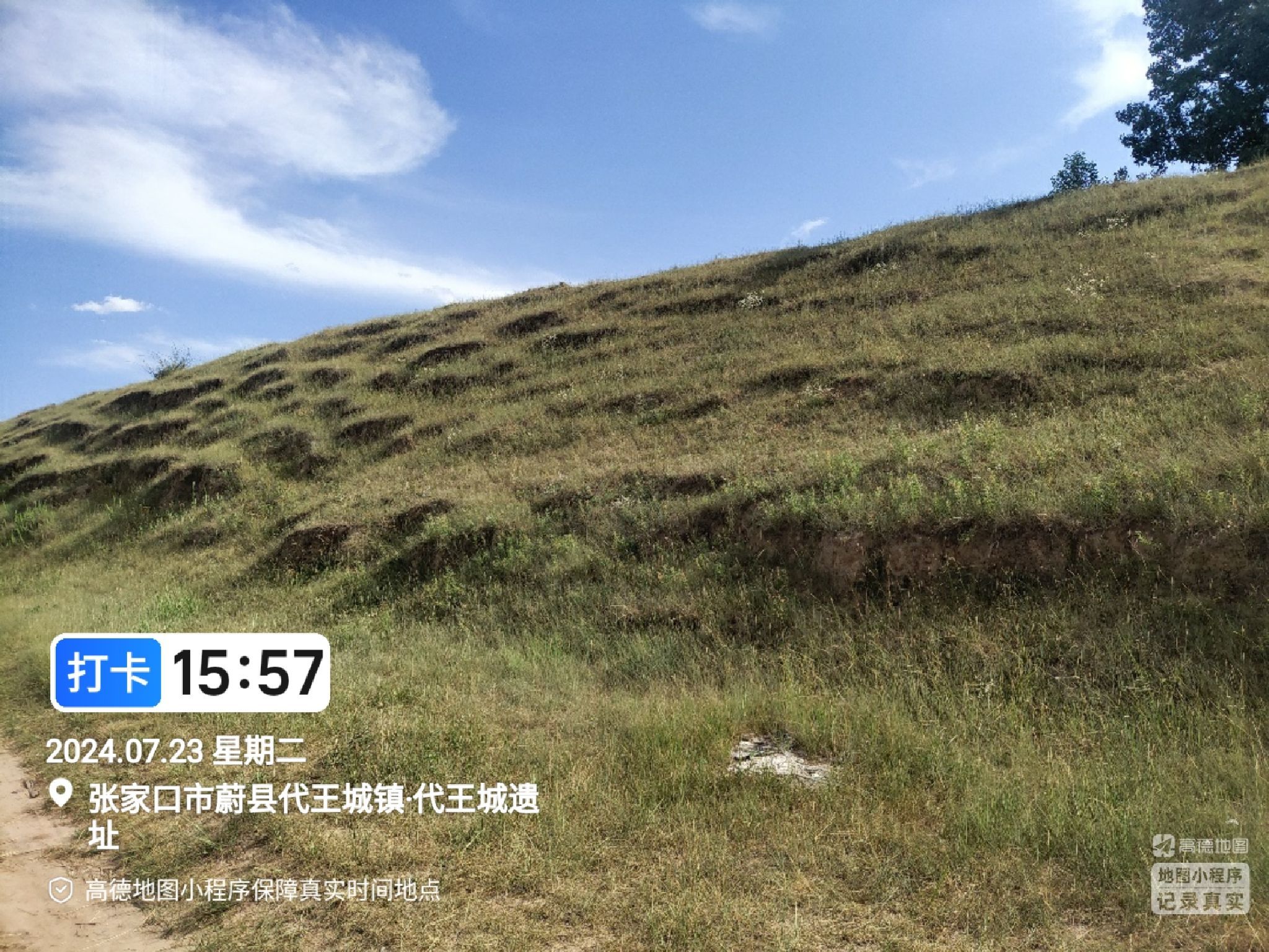 代王城遗址旅行图片 3