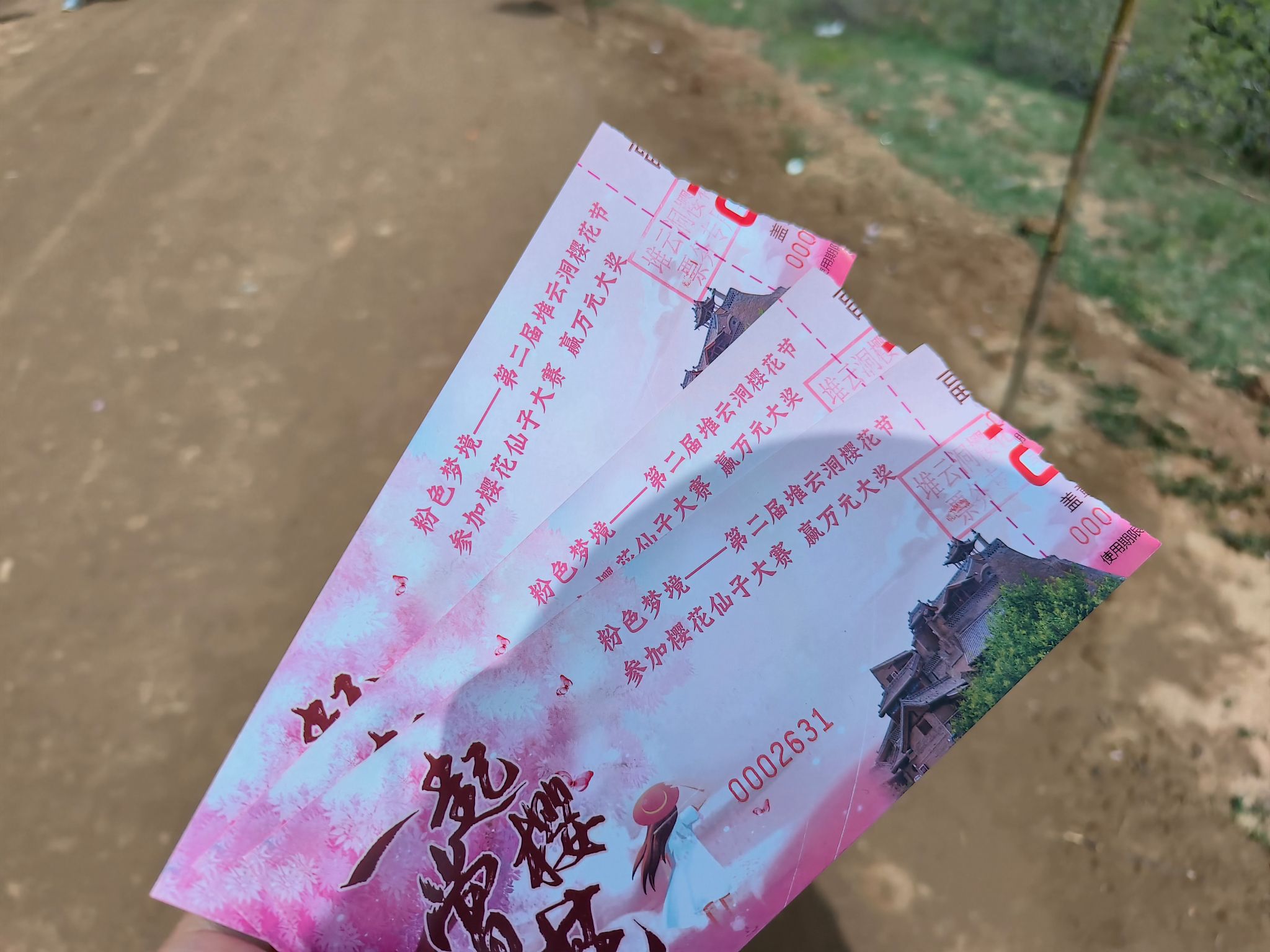 堆云洞樱花谷旅行图片 1