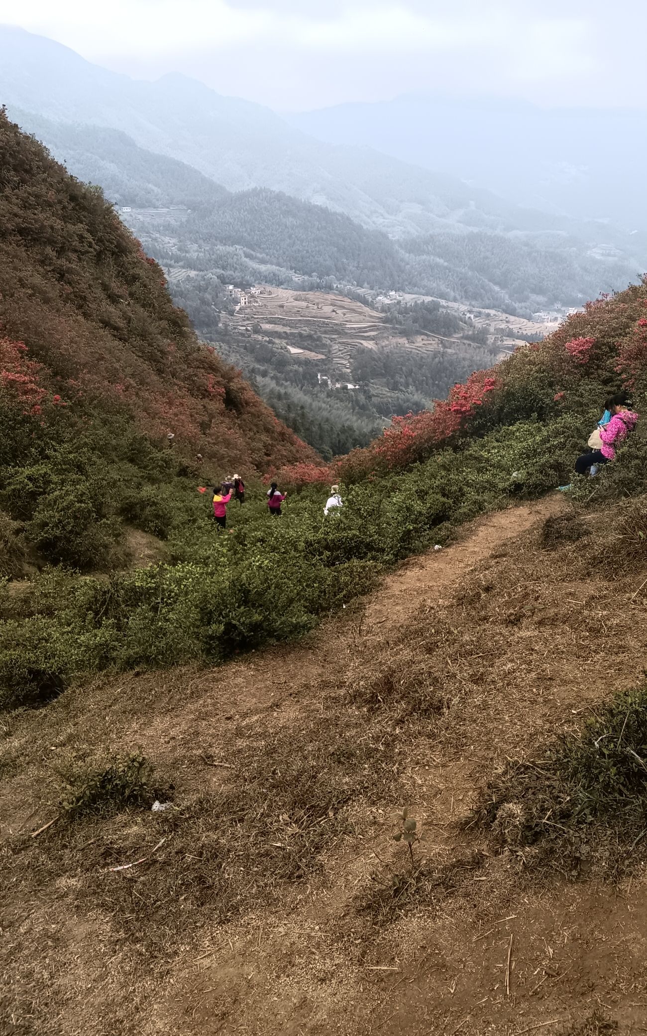 映花谷旅行图片 1