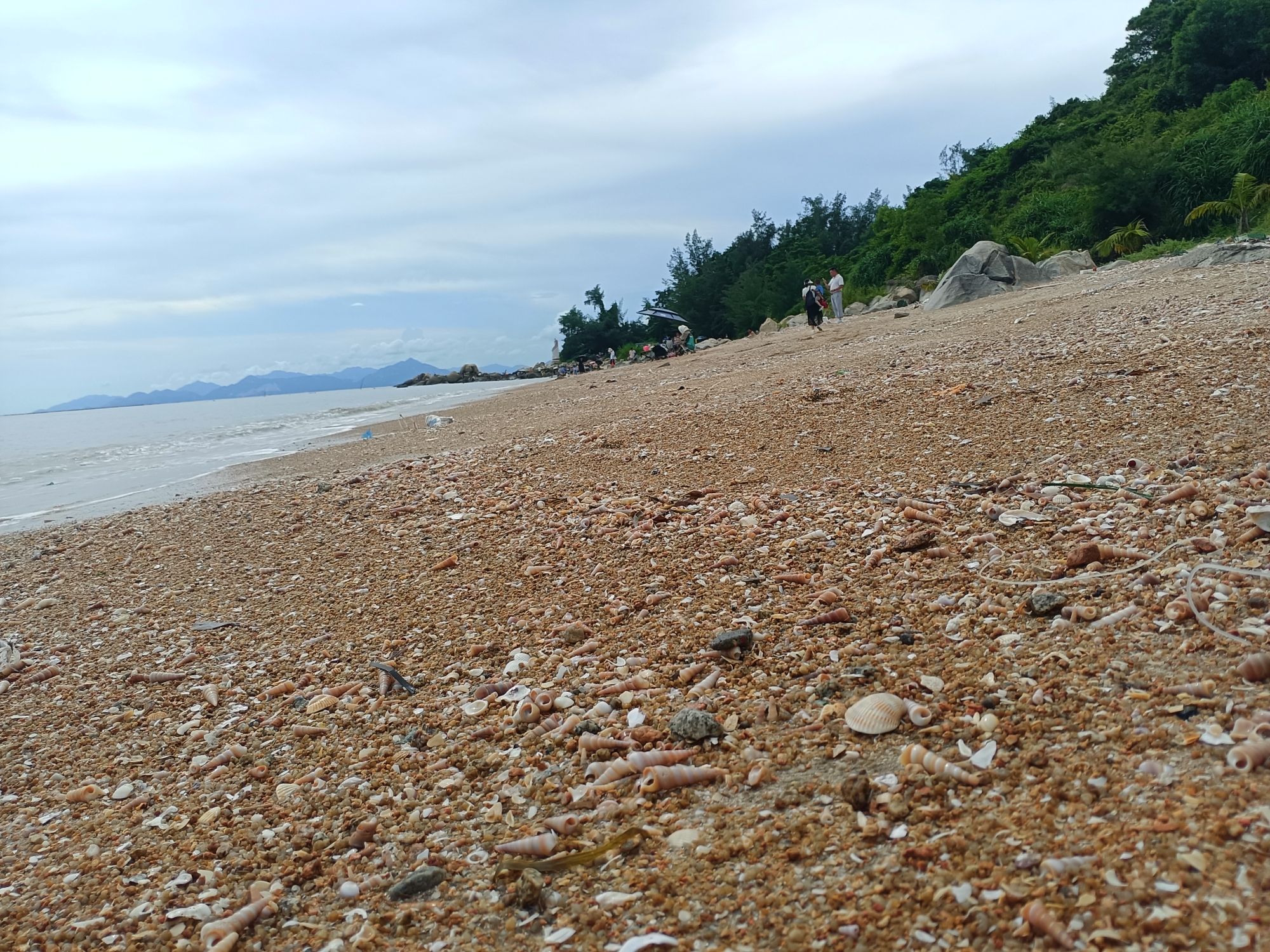 青山咀公园旅行图片 2