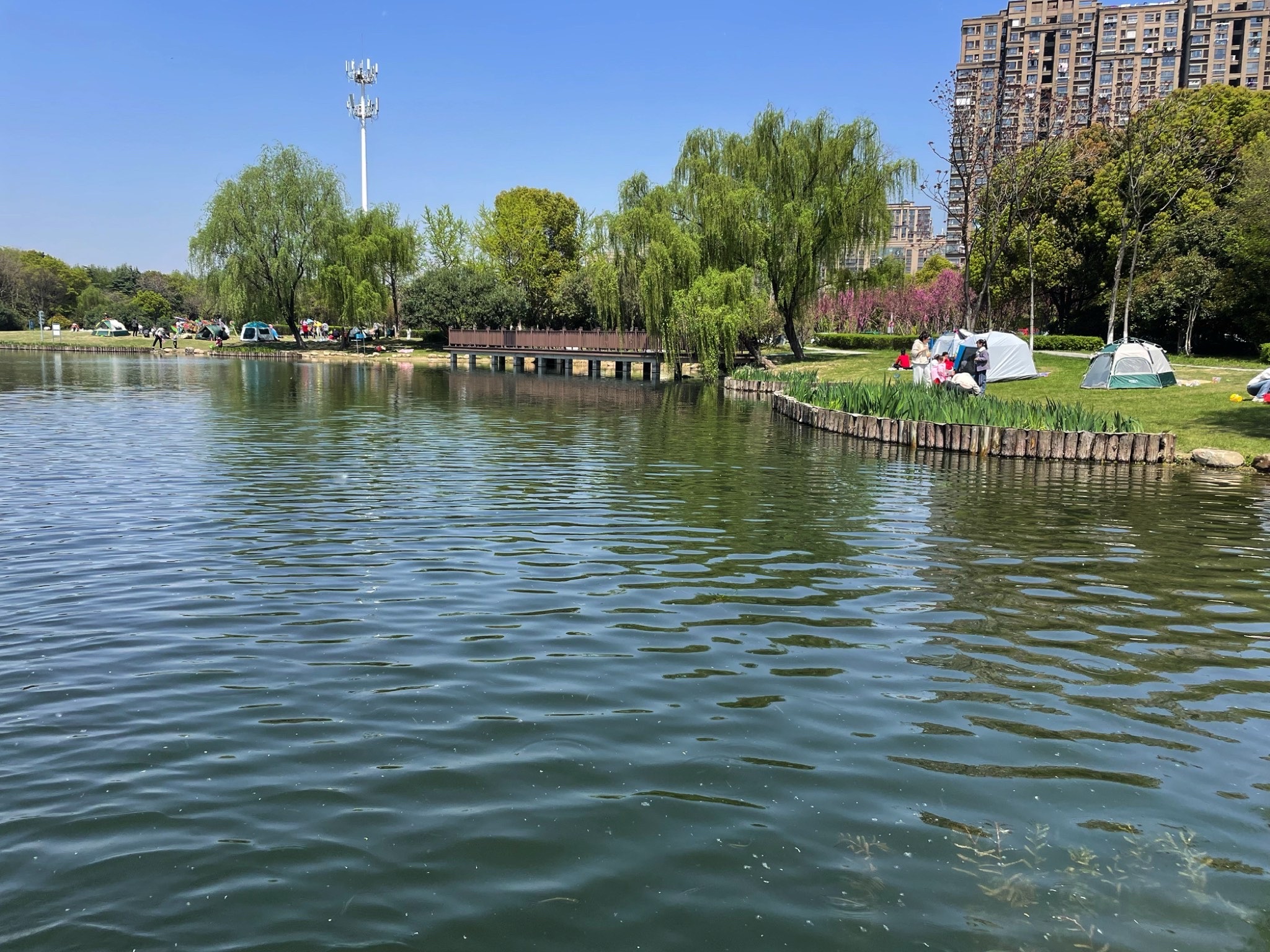 惠风公园旅行图片 2
