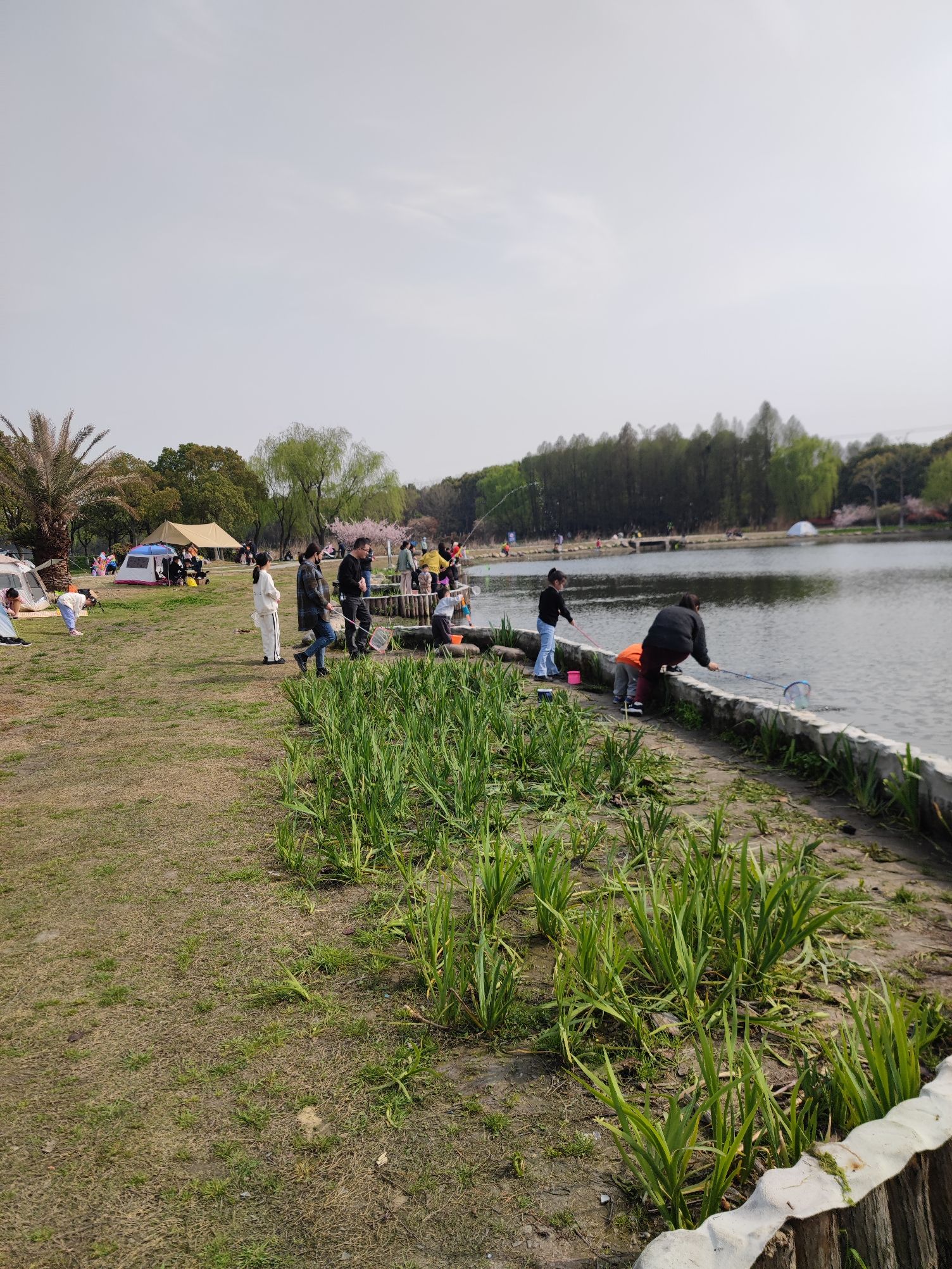 惠风公园旅行图片 2