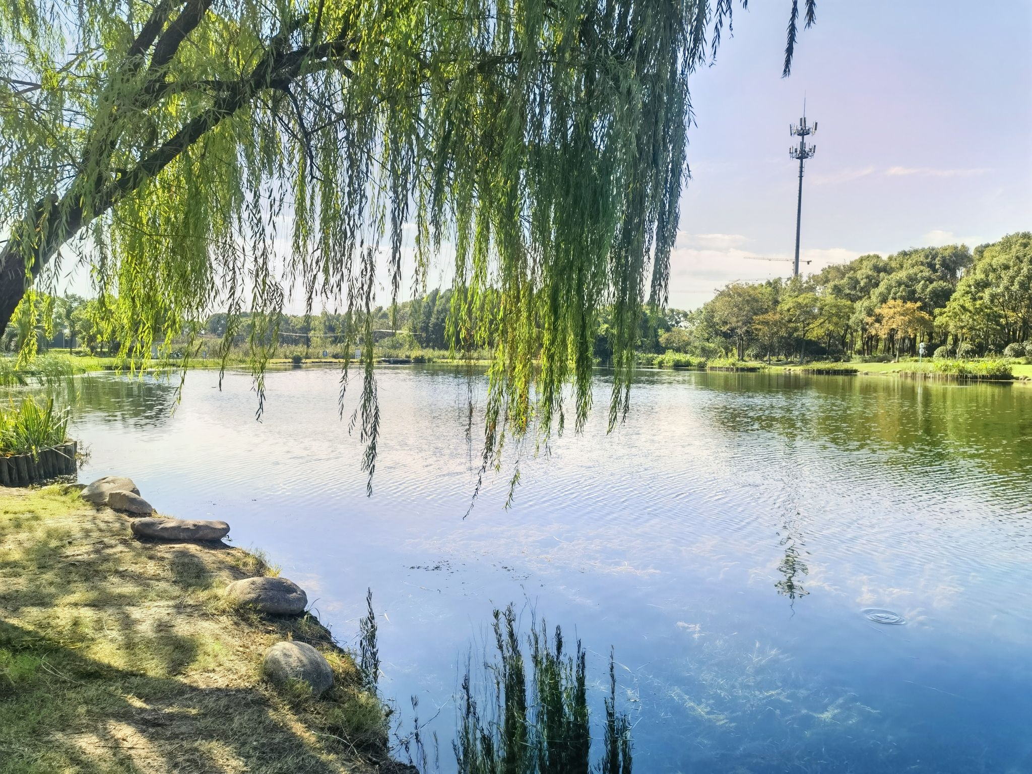 惠风公园旅行图片 3