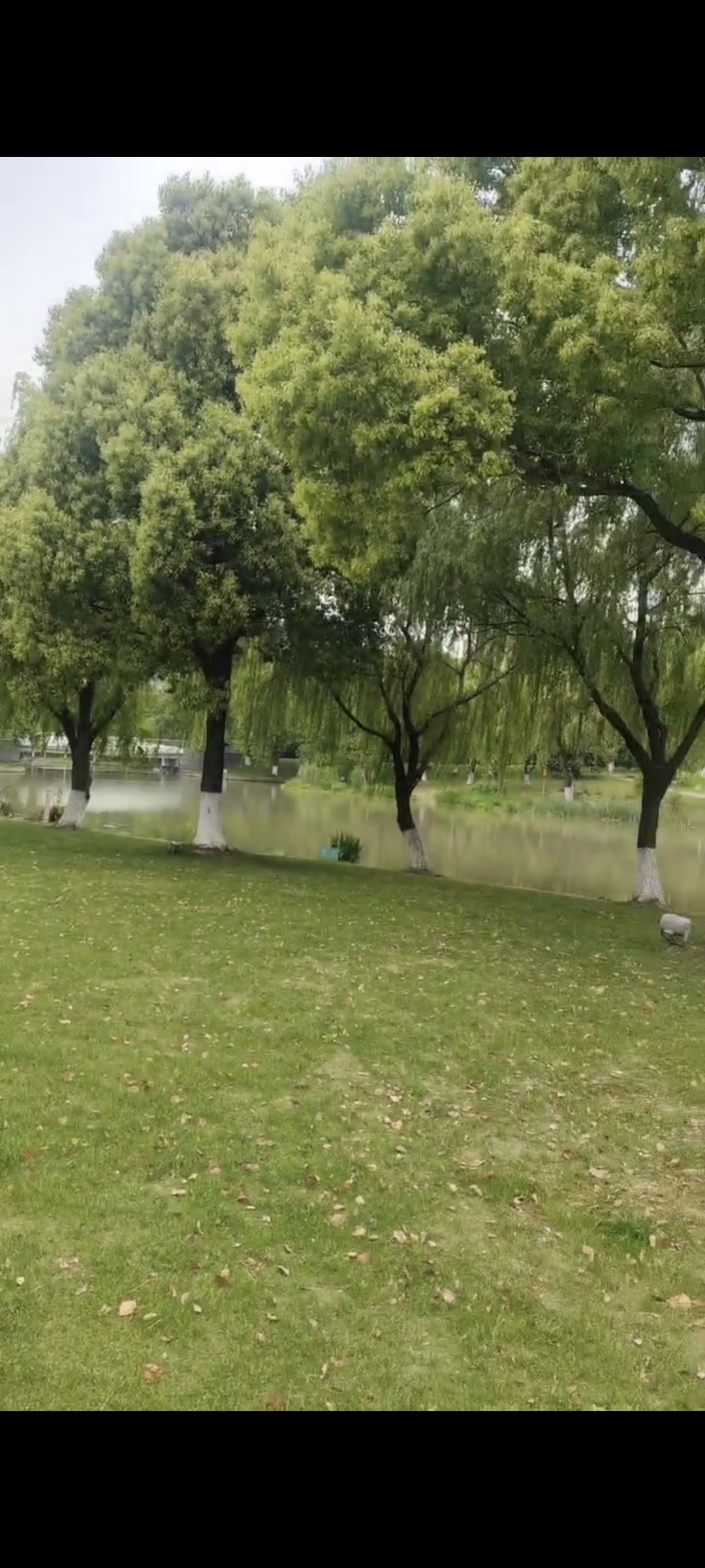 惠风公园旅行图片 3