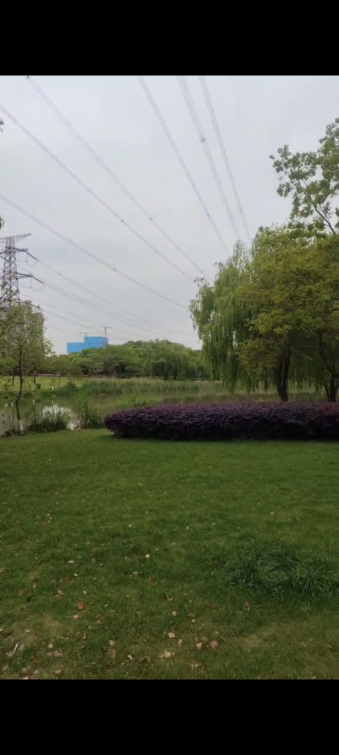 惠风公园旅行图片 2