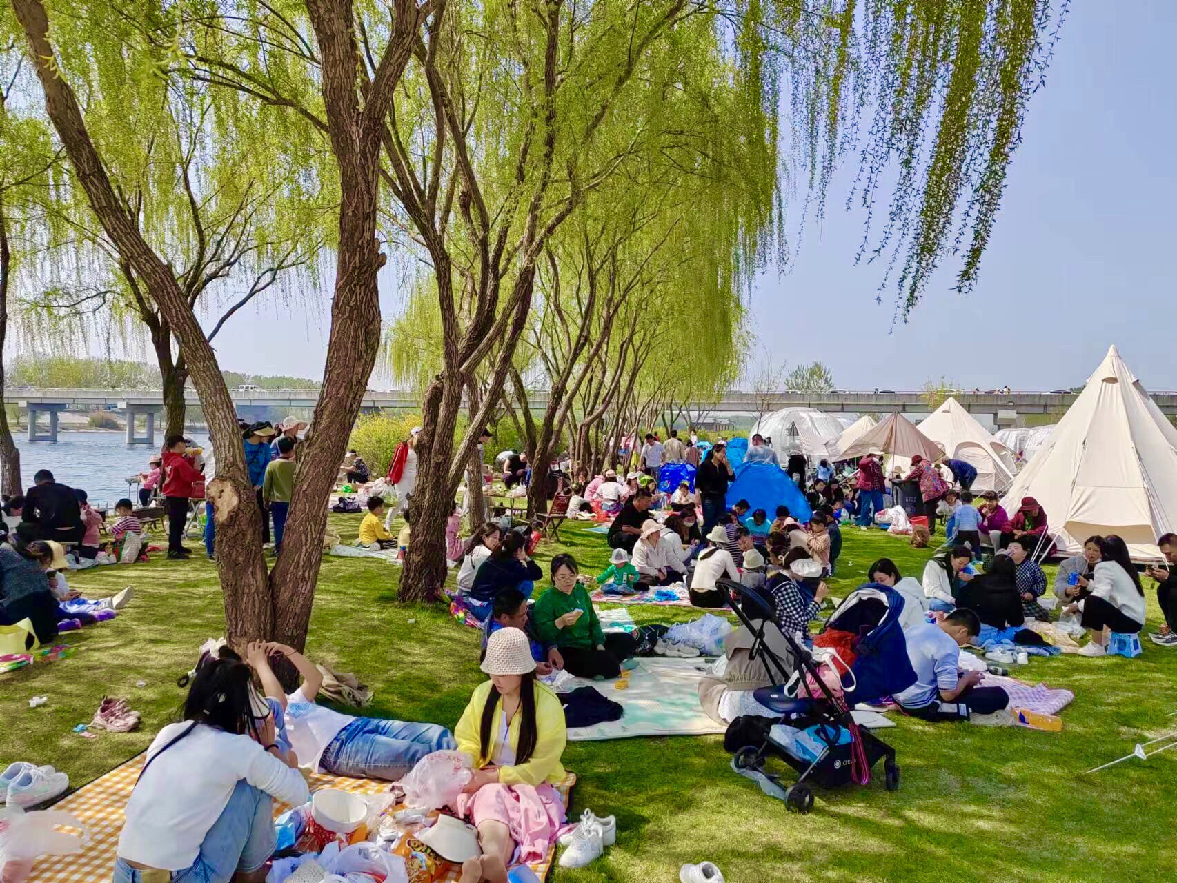 好运角旅行图片 2