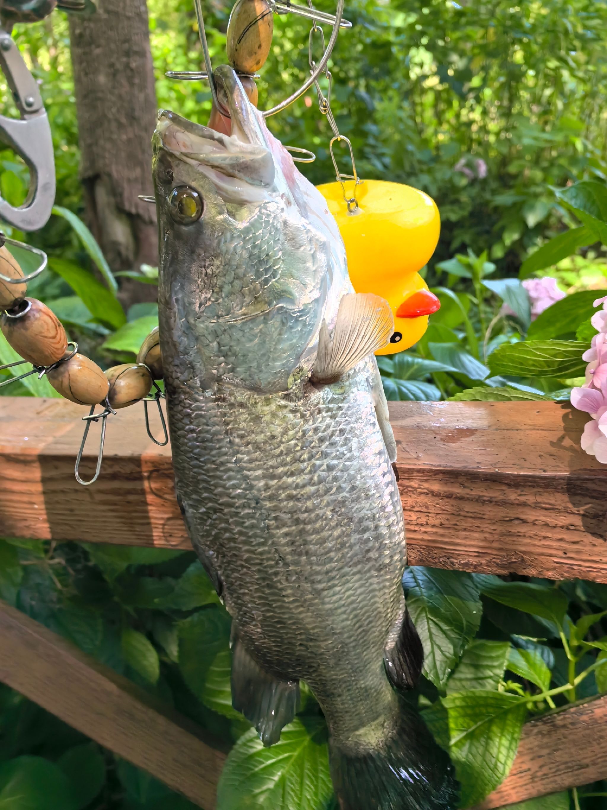 场地封面-悦侬路亚俱乐部