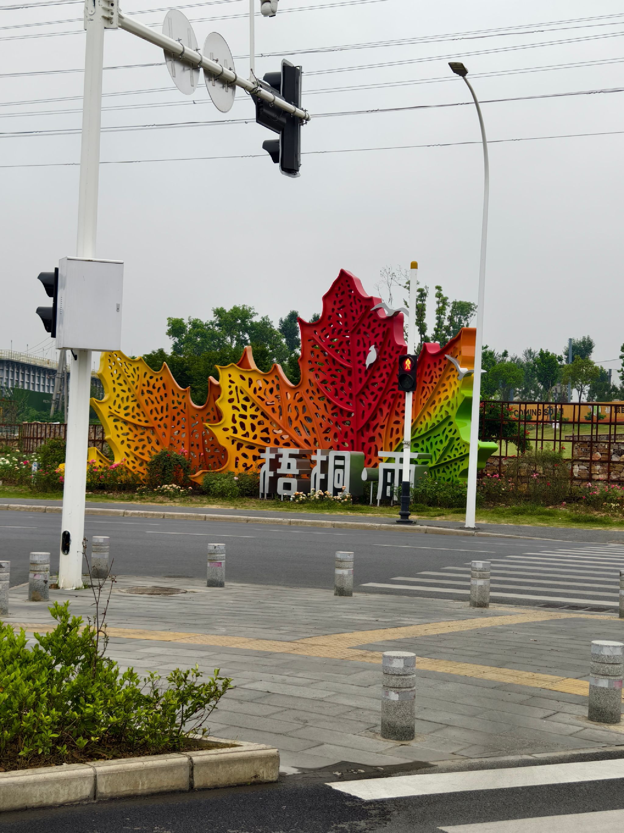 梧桐·雨旅行图片 1