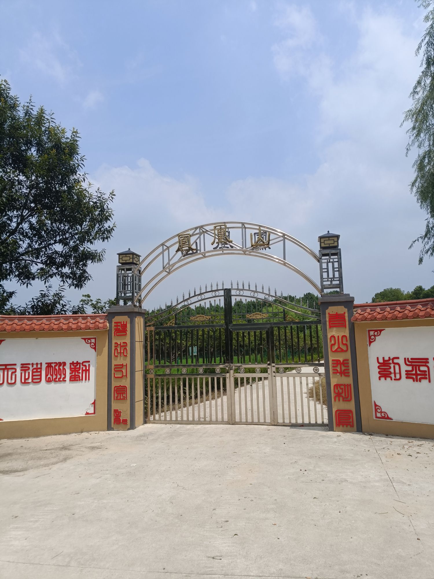 凤凰山旅行图片 1
