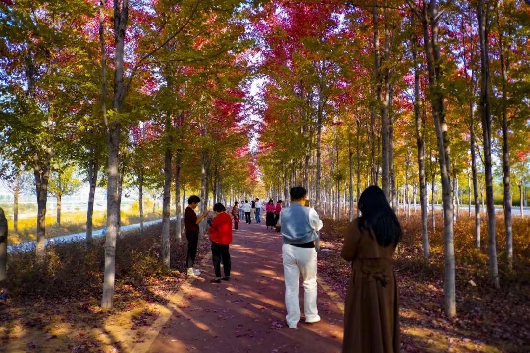 宜阳县滨河公园旅行图片 1