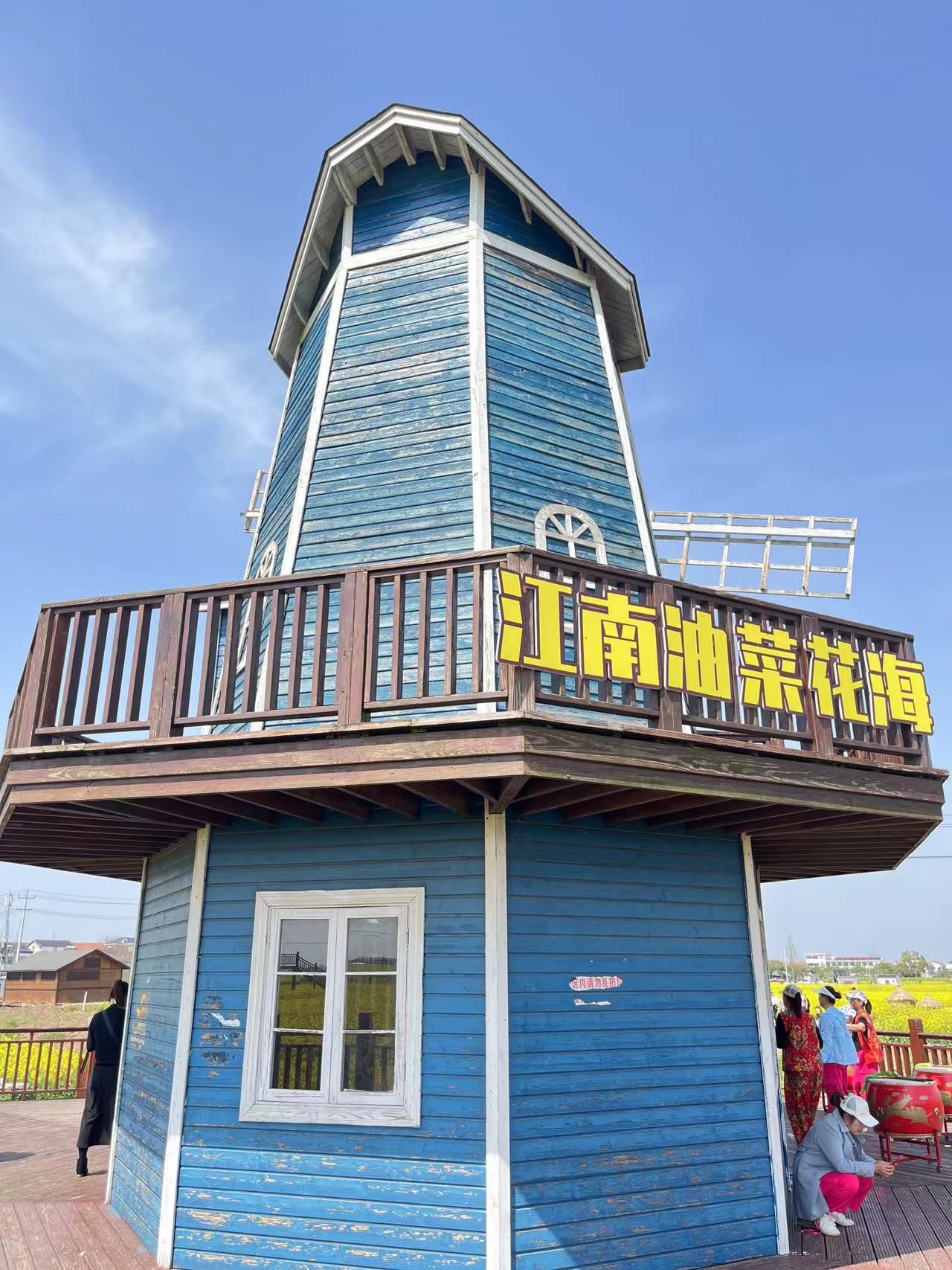 江南油菜花海旅行图片 2