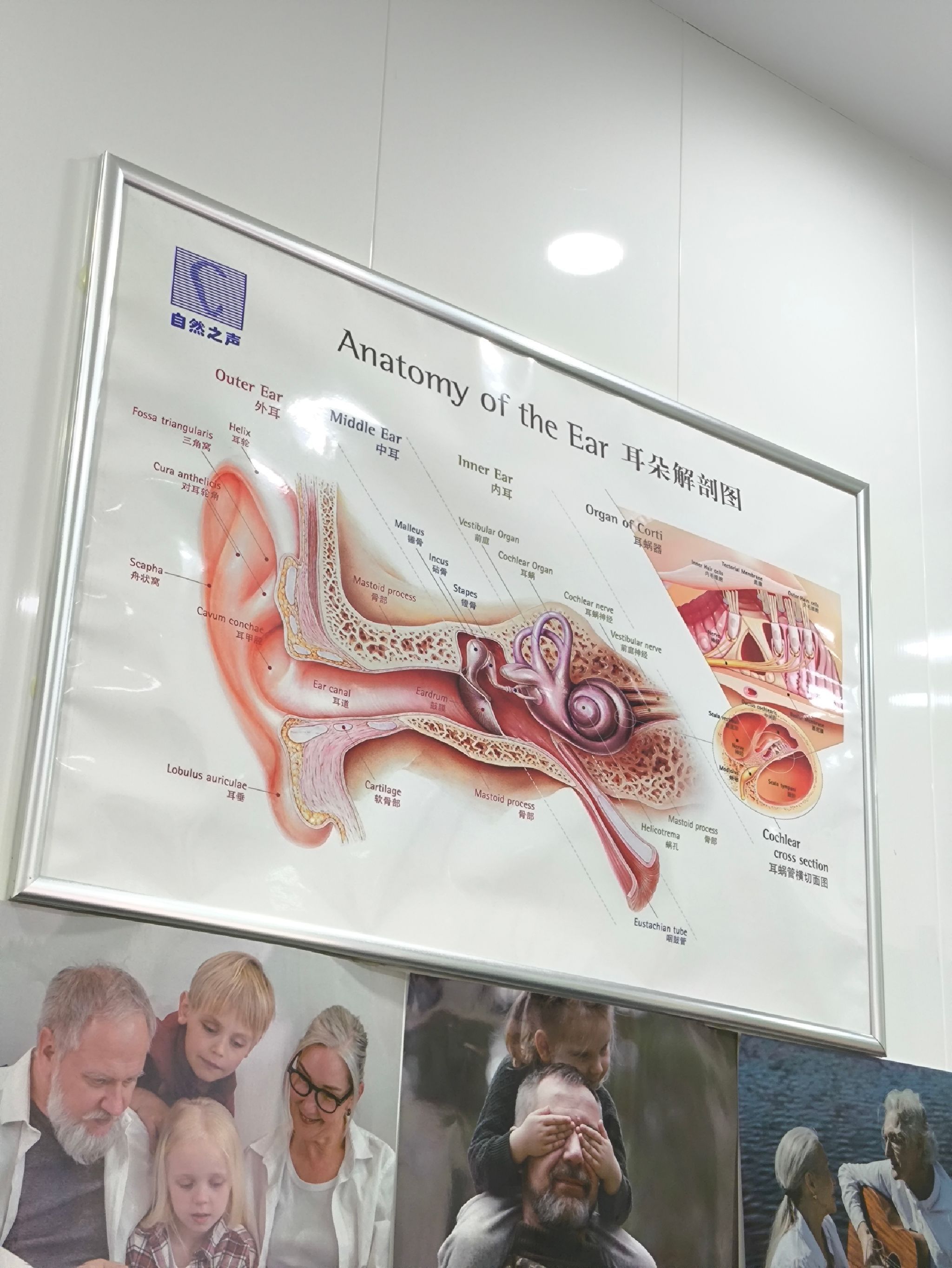 自然之声助听器·呼吸机(尧都区建设路店)