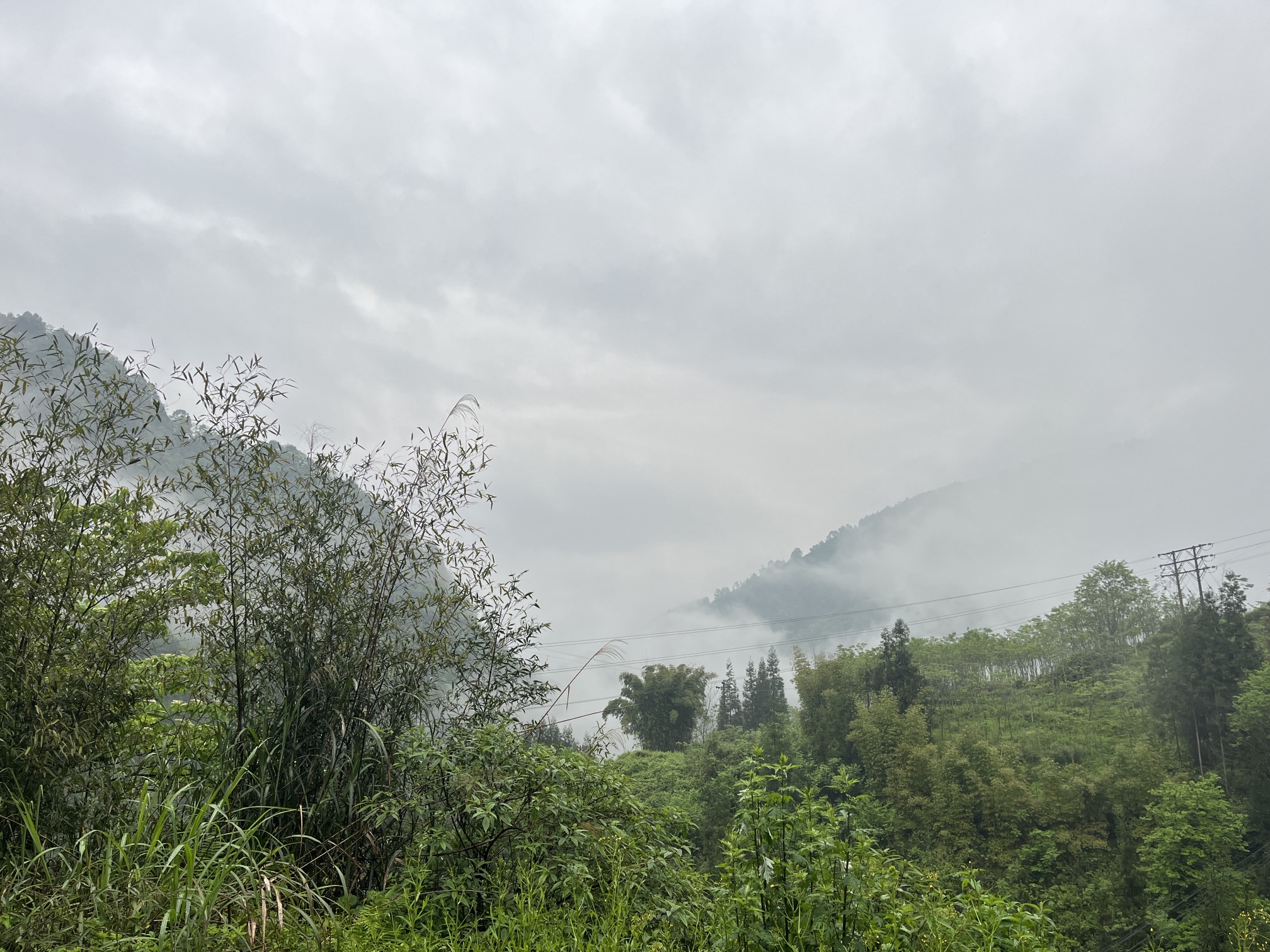 桐野营地旅行图片 3