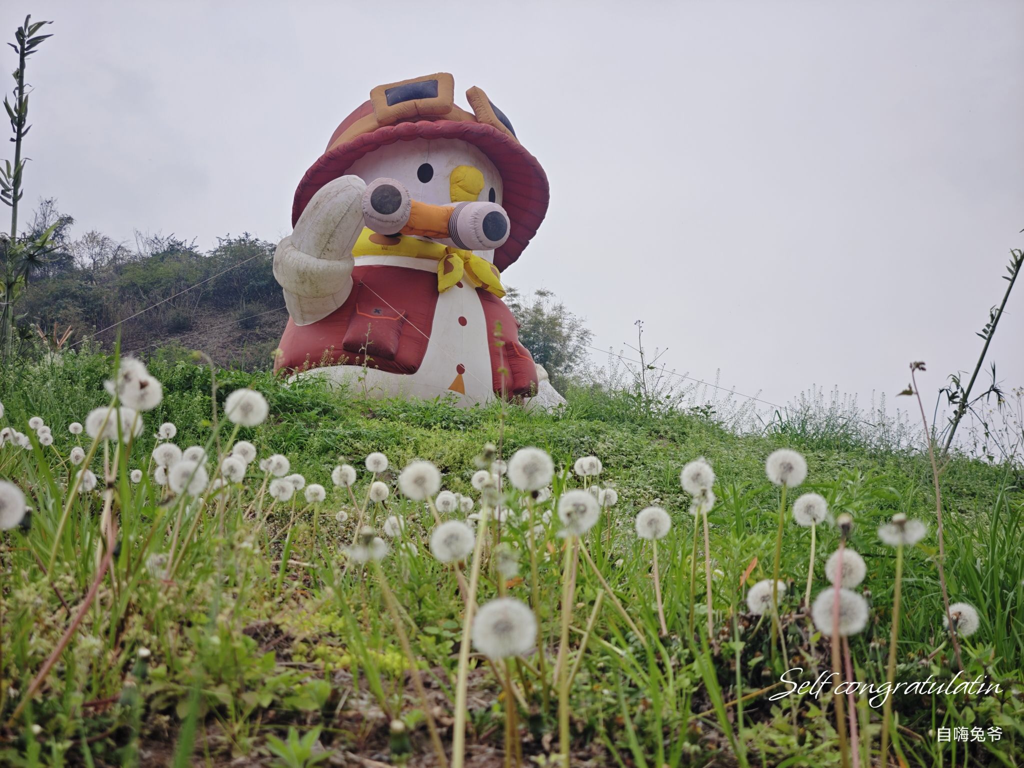 场地封面-蒲公英成长酷玩营地