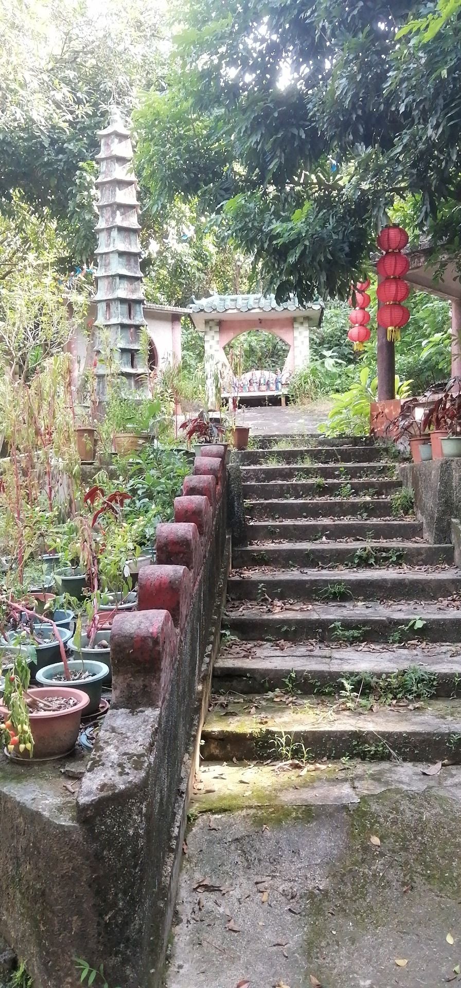 大岗镇放马村观音庙实景照片