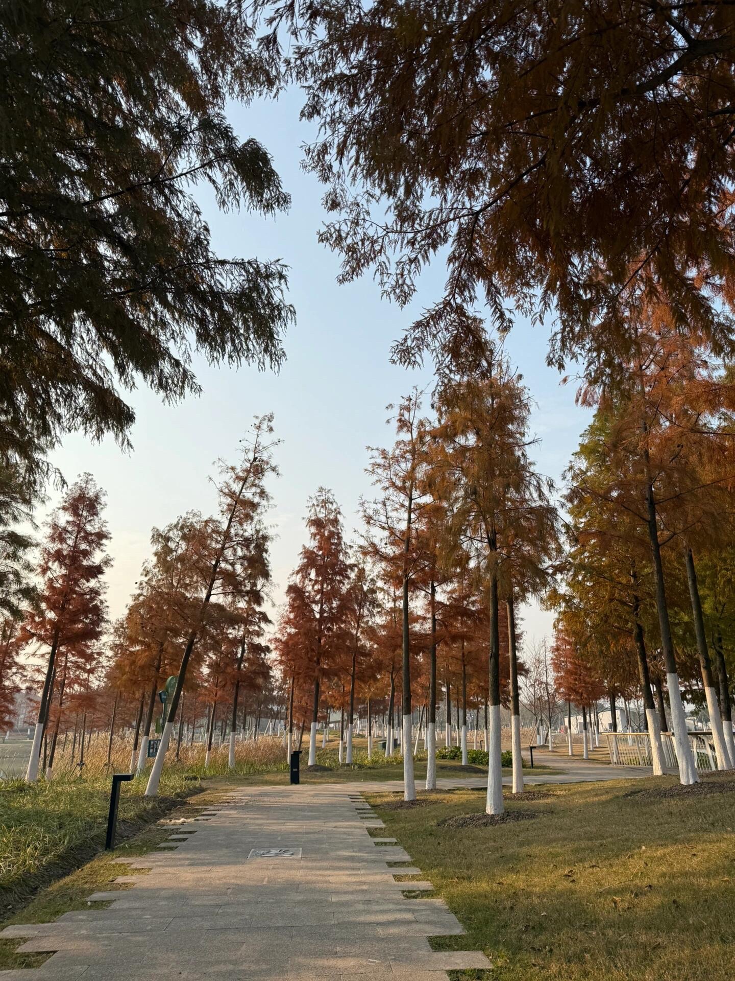碧云绿地·碧云湖公园旅行图片 2