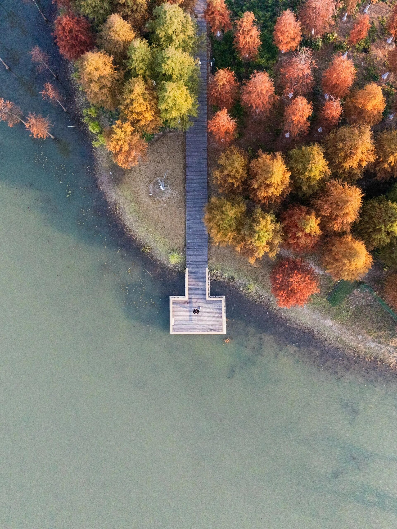 碧云绿地·碧云湖公园