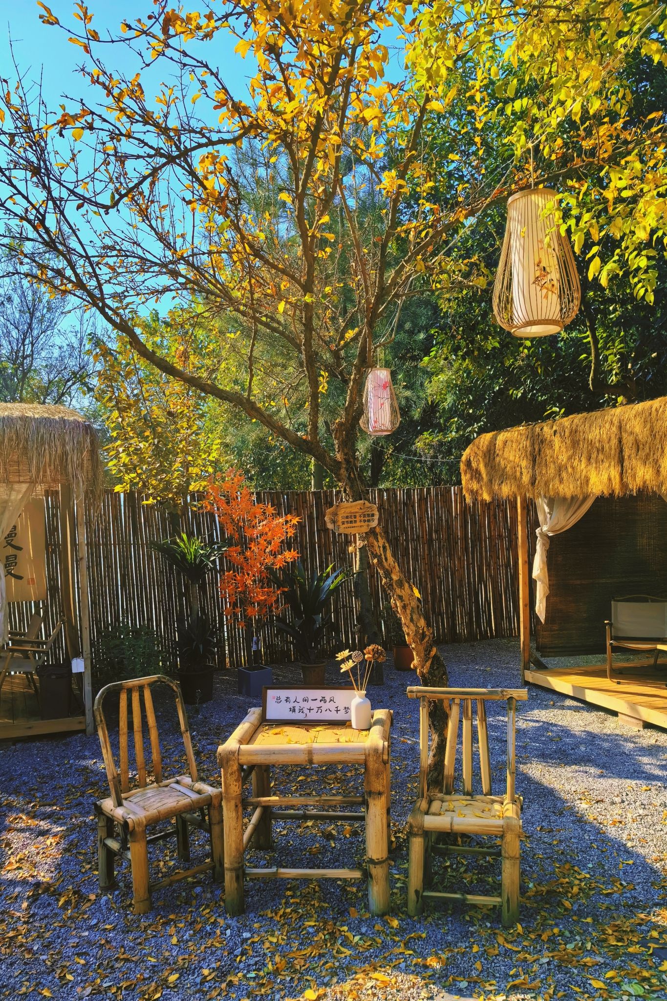 场地封面-花树小院