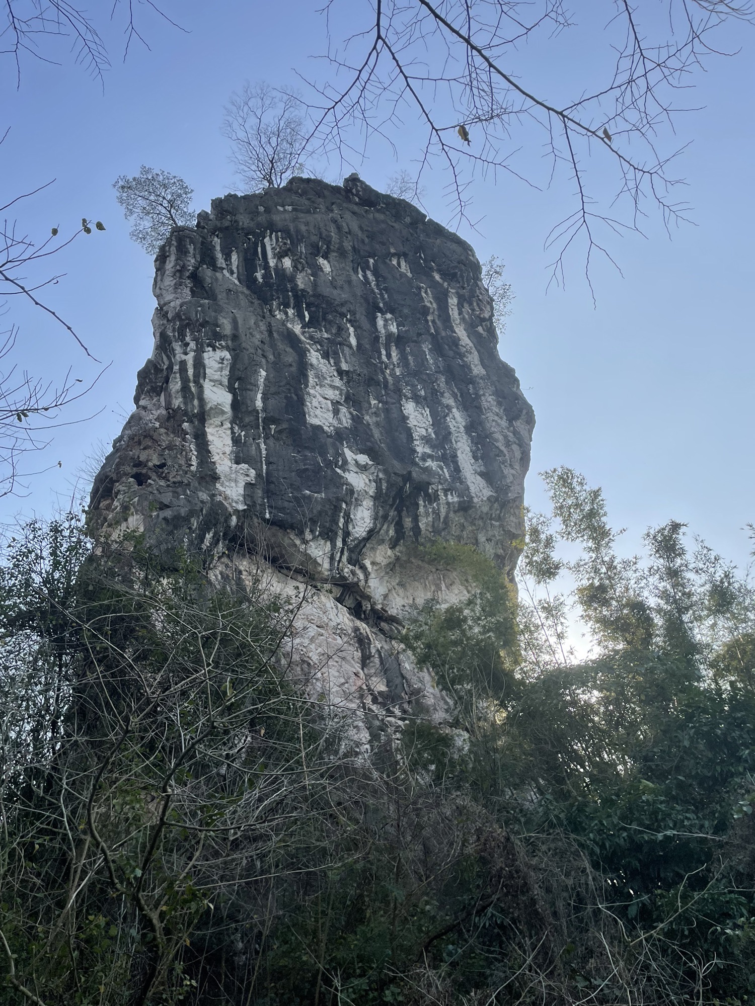 鱼王石旅行图片 1