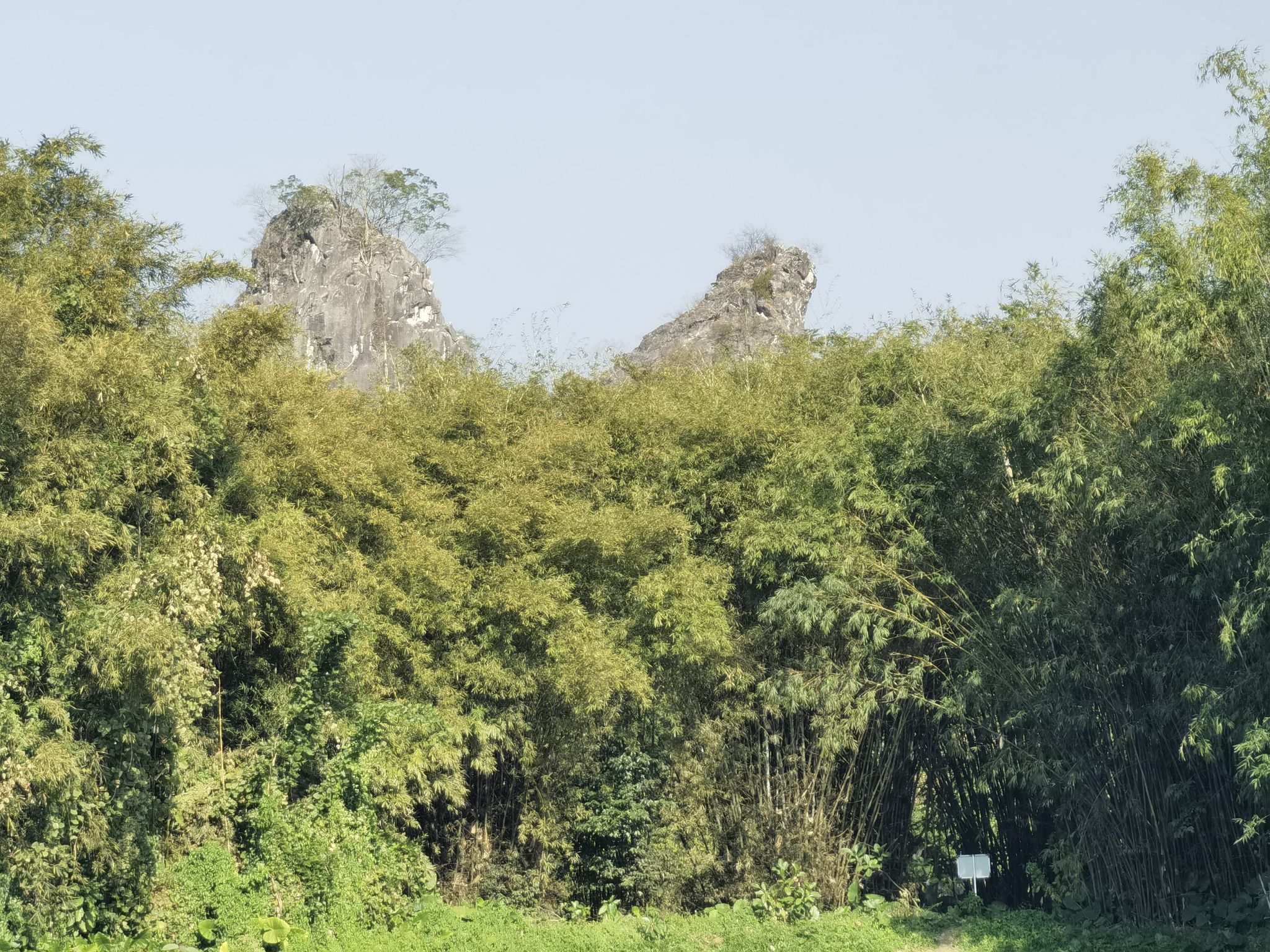 鱼王石旅行图片 3