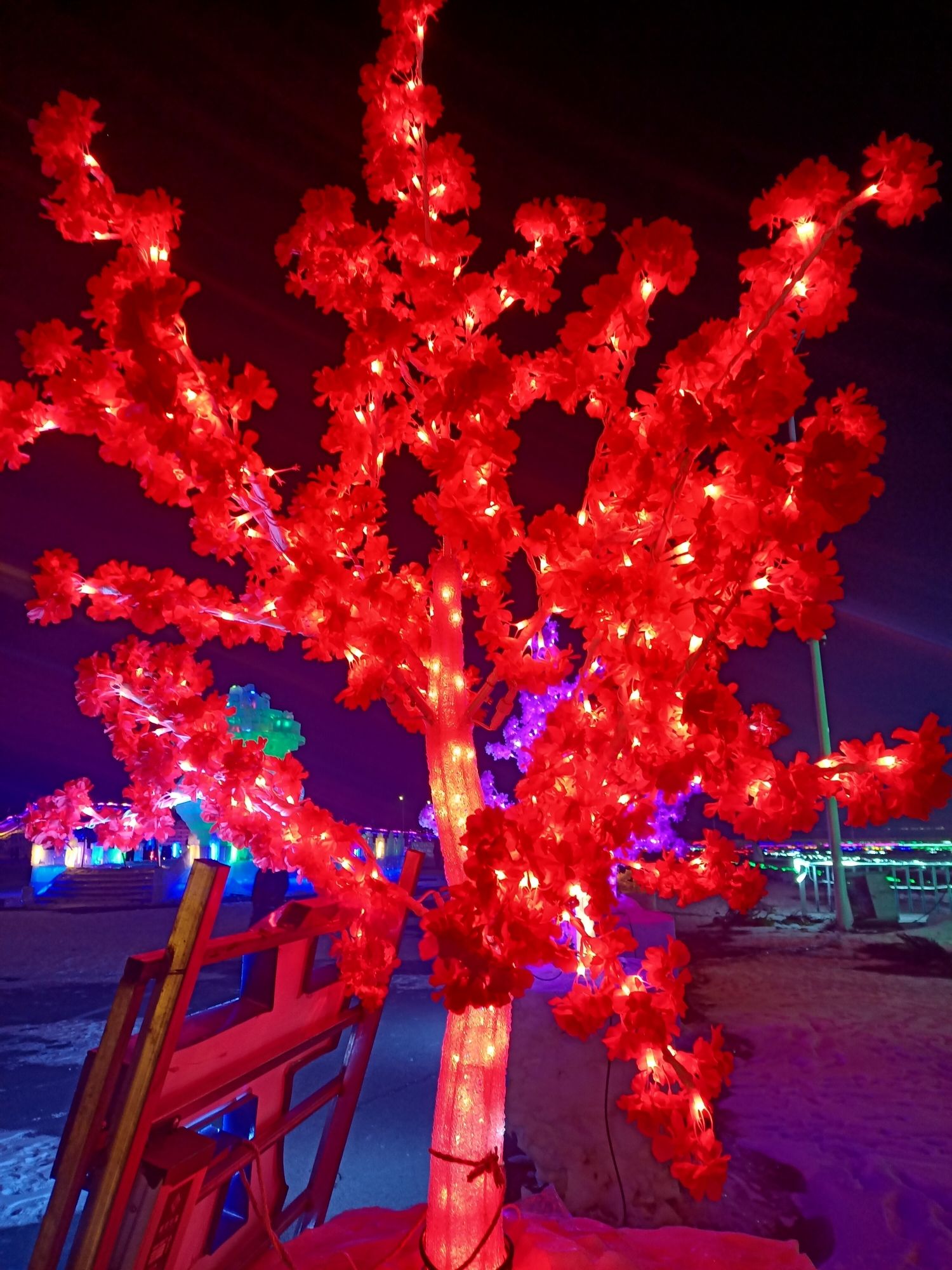 丹顶鹤冰雪梦幻王国(暂停开放)旅行图片 2