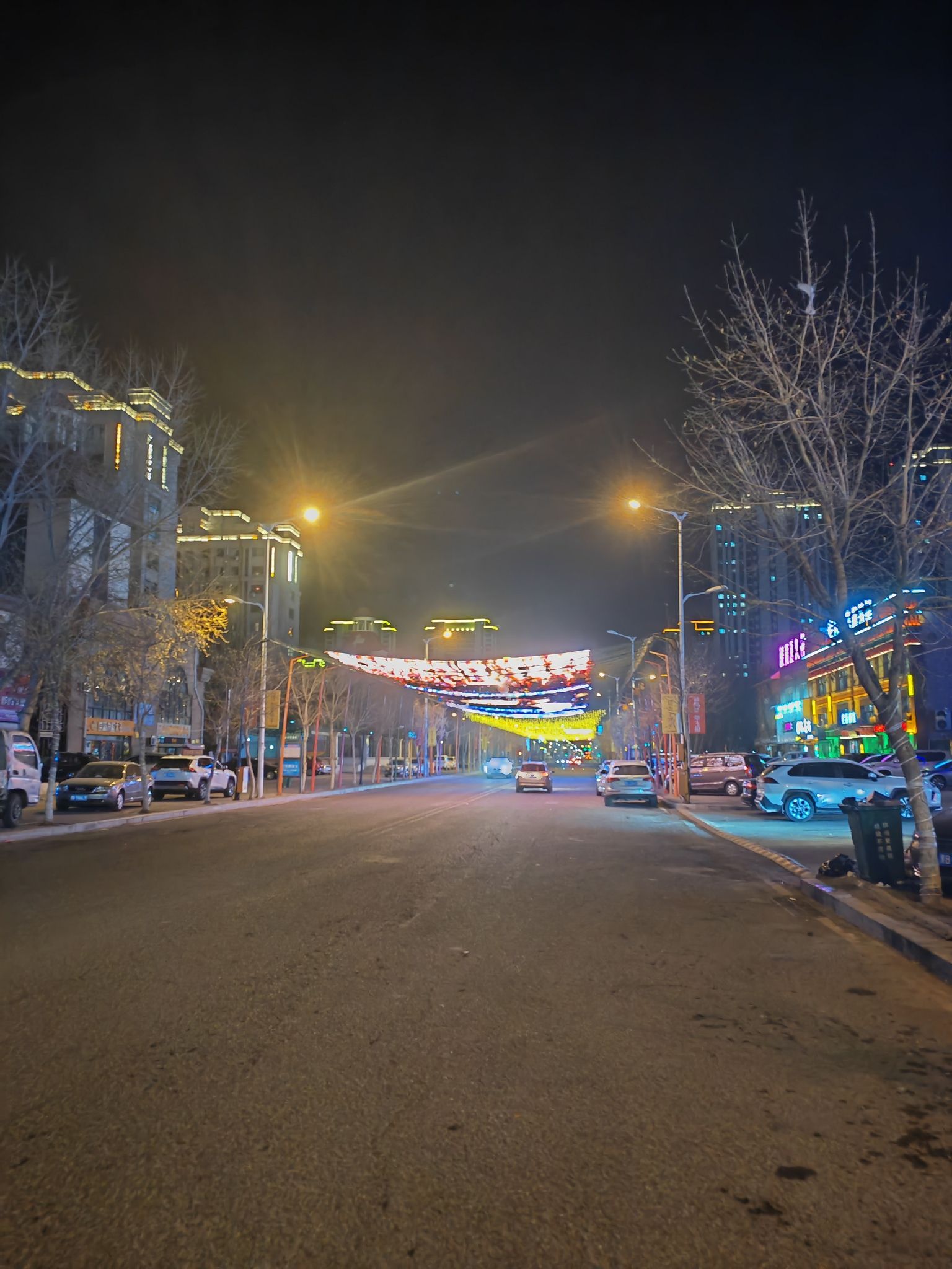 丹顶鹤冰雪梦幻王国(暂停开放)旅行图片 2