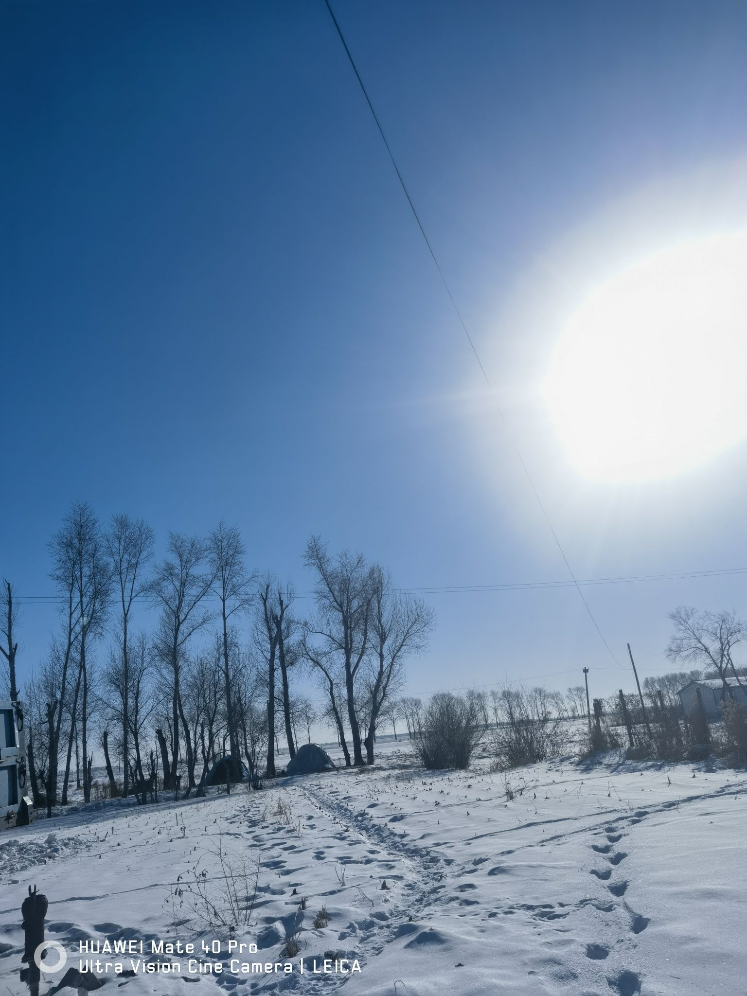 丹顶鹤冰雪梦幻王国(暂停开放)旅行图片 1