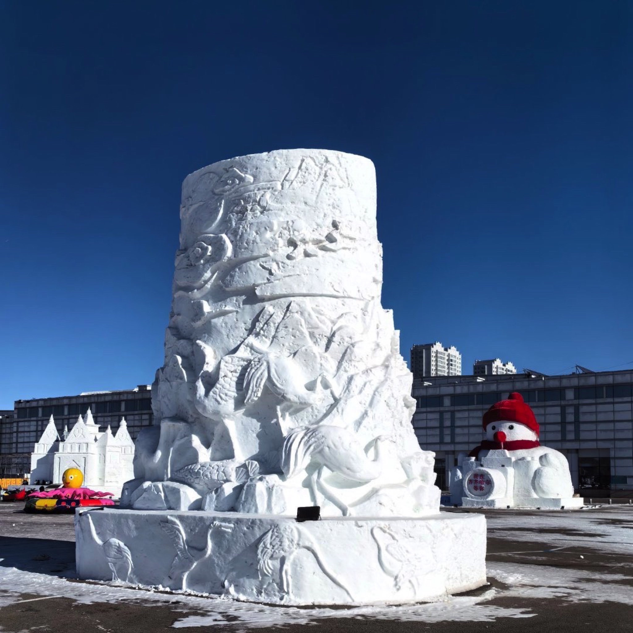 丹顶鹤冰雪梦幻王国(暂停开放)旅行图片 3