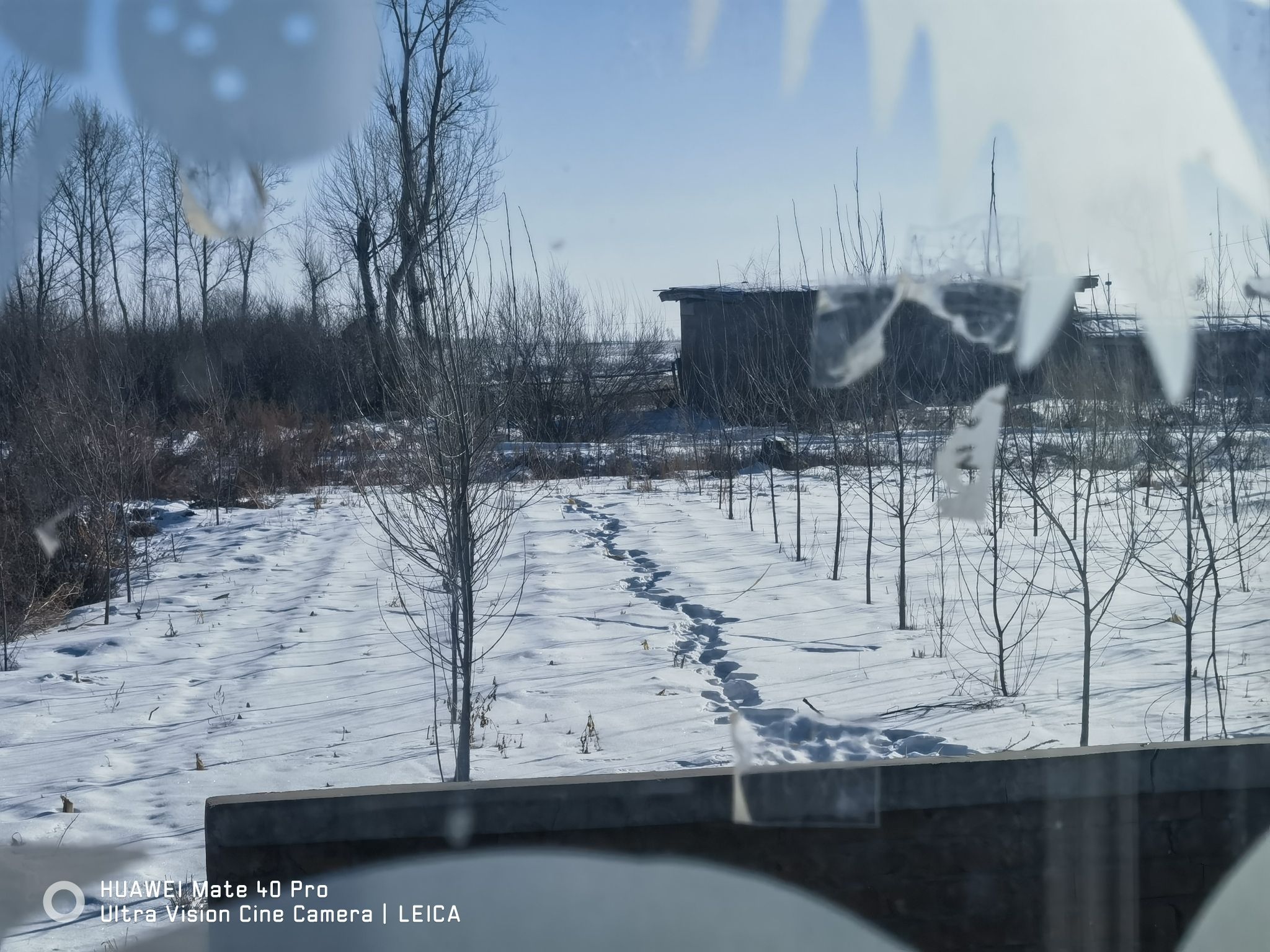 丹顶鹤冰雪梦幻王国(暂停开放)旅行图片 3