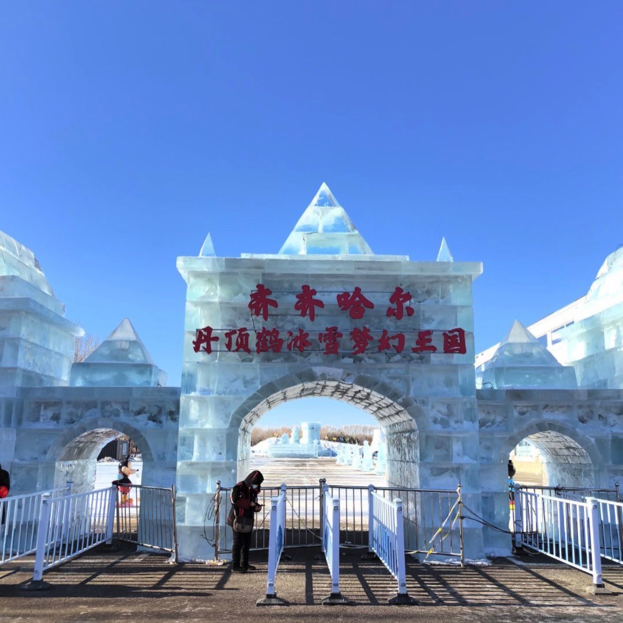丹顶鹤冰雪梦幻王国(暂停开放)旅行图片 1