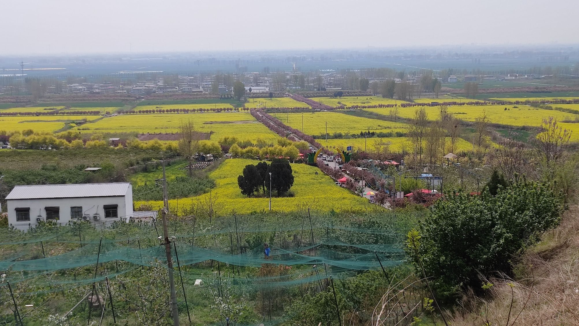 第六届中国襄城首山油菜花旅游文化节旅行图片 3