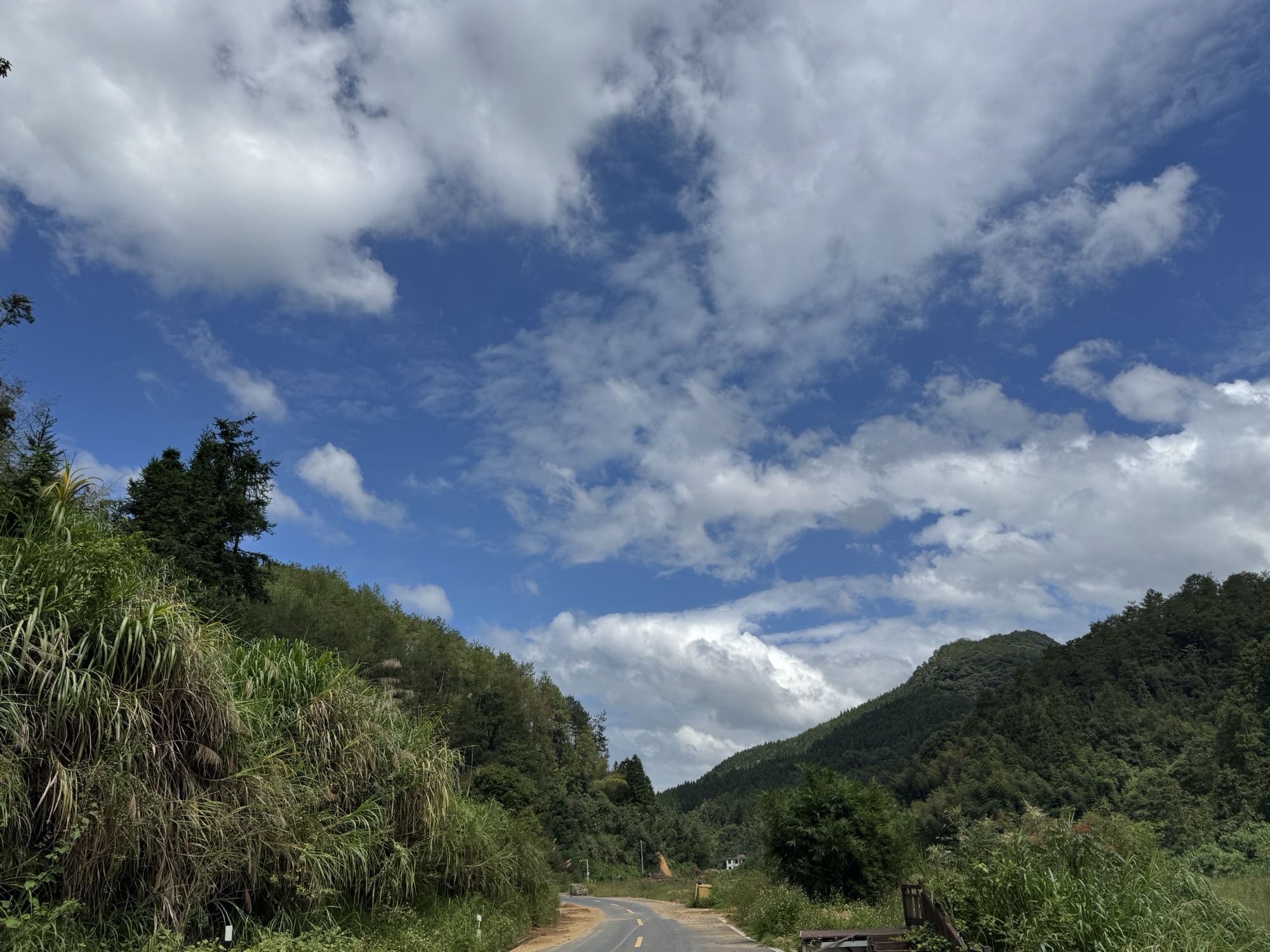 西坑湿地公园旅行图片 2