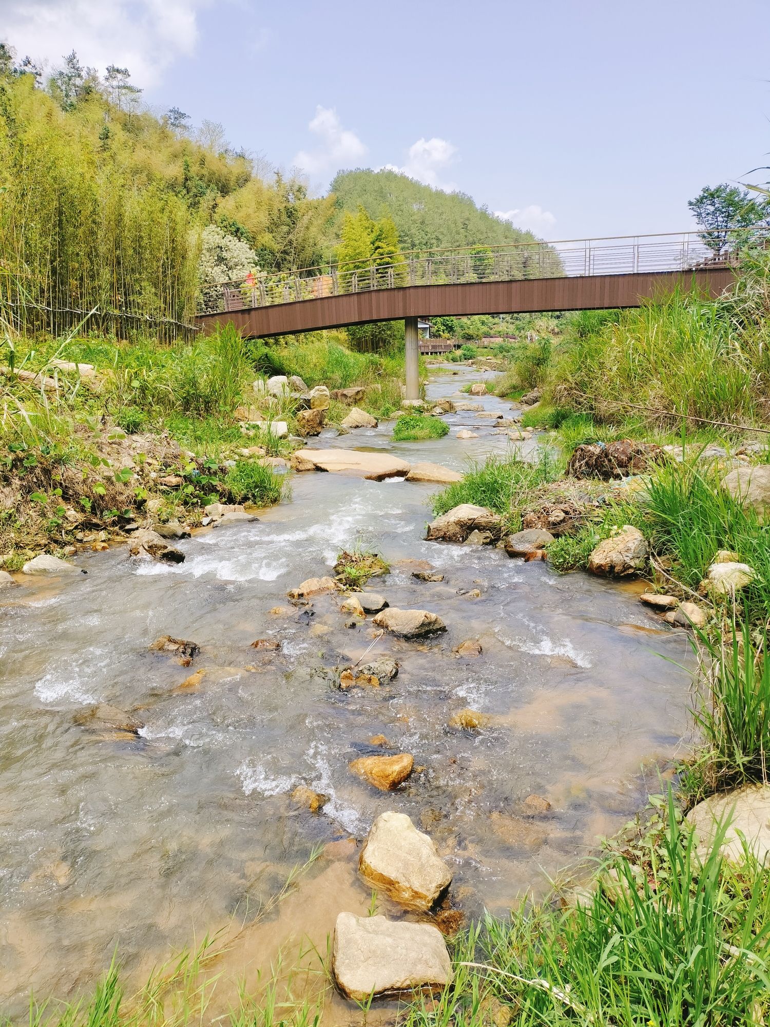 西坑湿地公园旅行图片 1