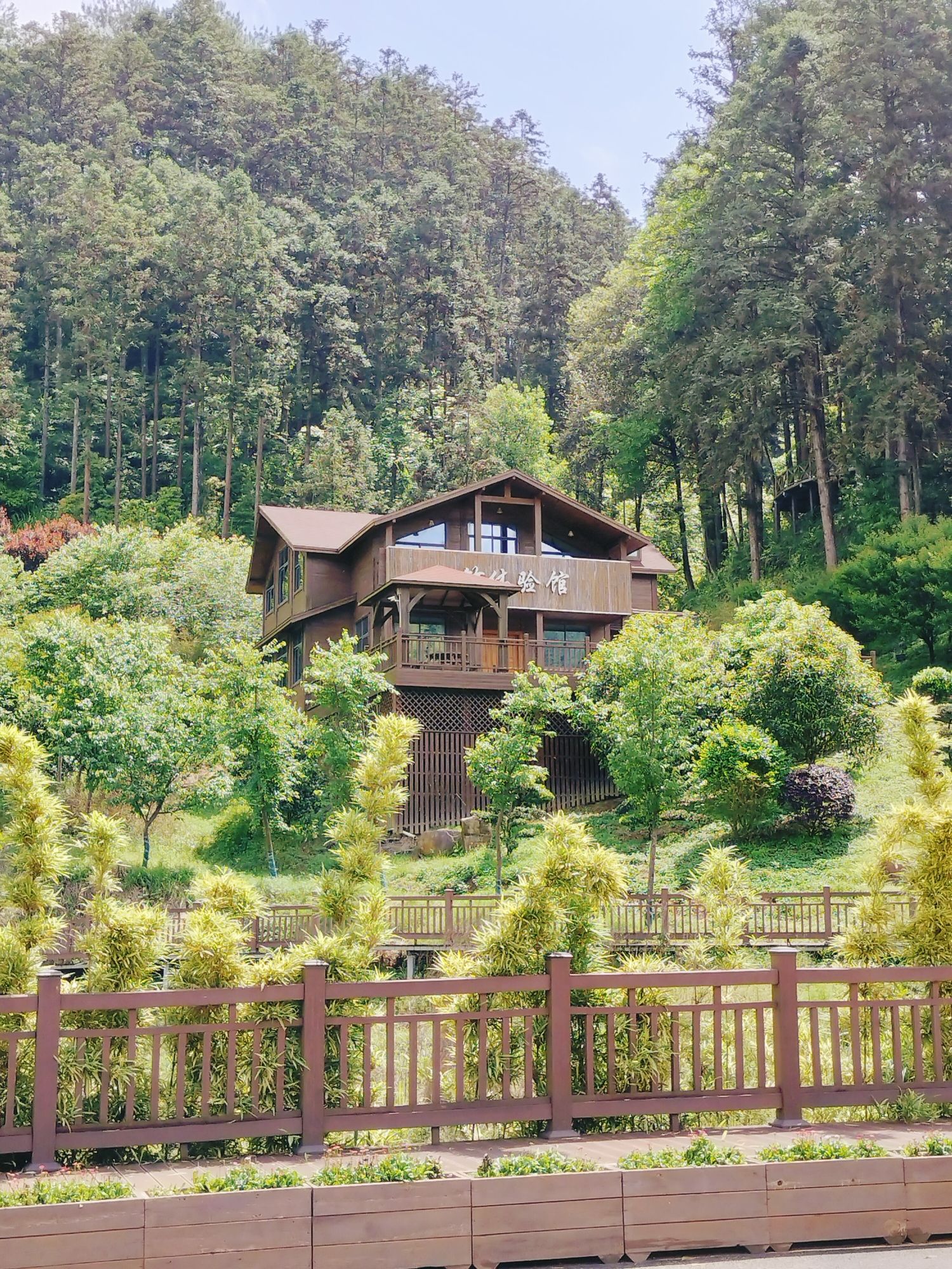 西坑湿地公园旅行图片 3