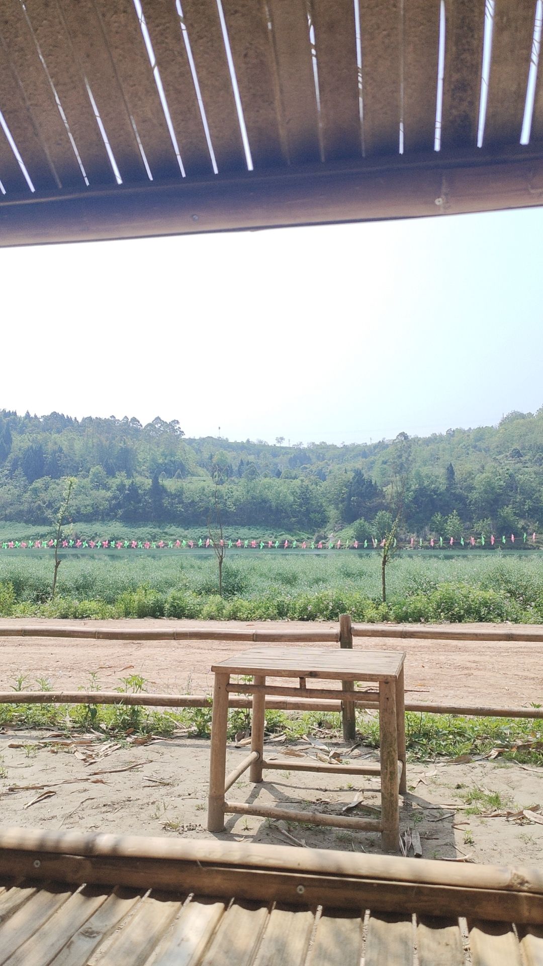 石盘镇黄石村黄石竹海旅行图片 1