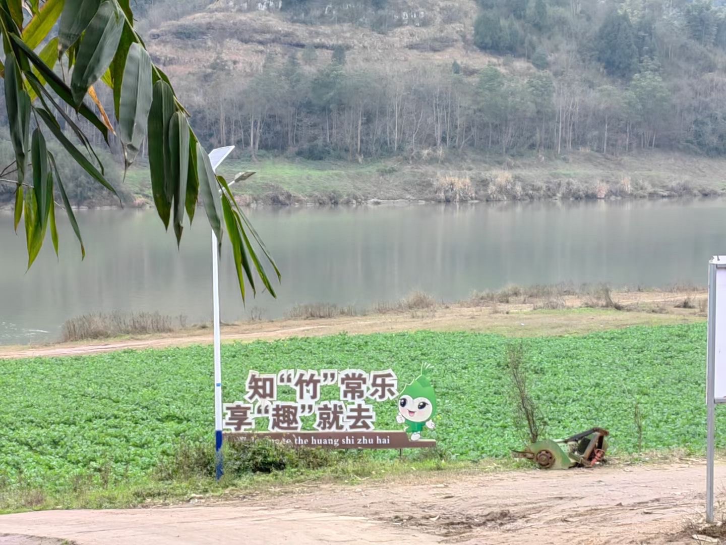 石盘镇黄石村黄石竹海旅行图片 1