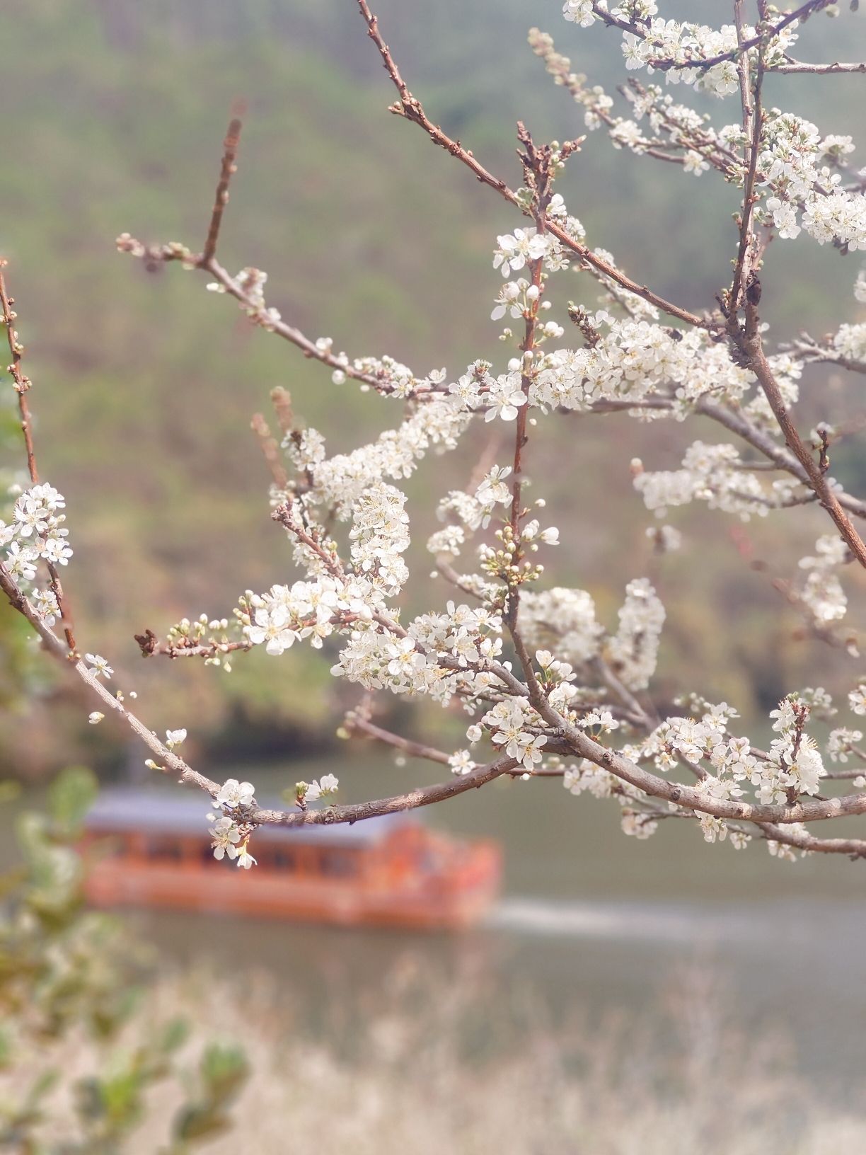 广东虎跳峡度假区旅行图片 3
