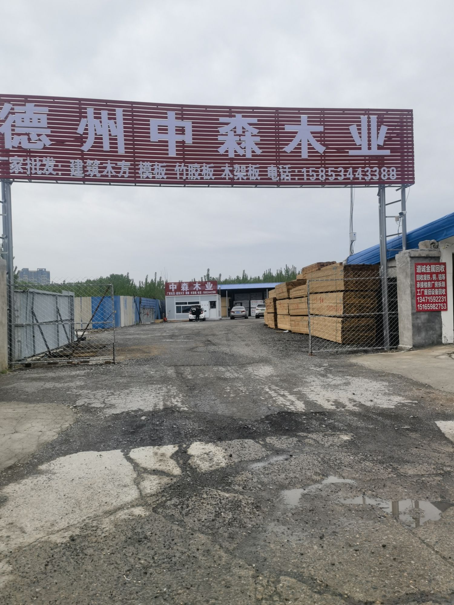德州中森木业批发建筑木方模板