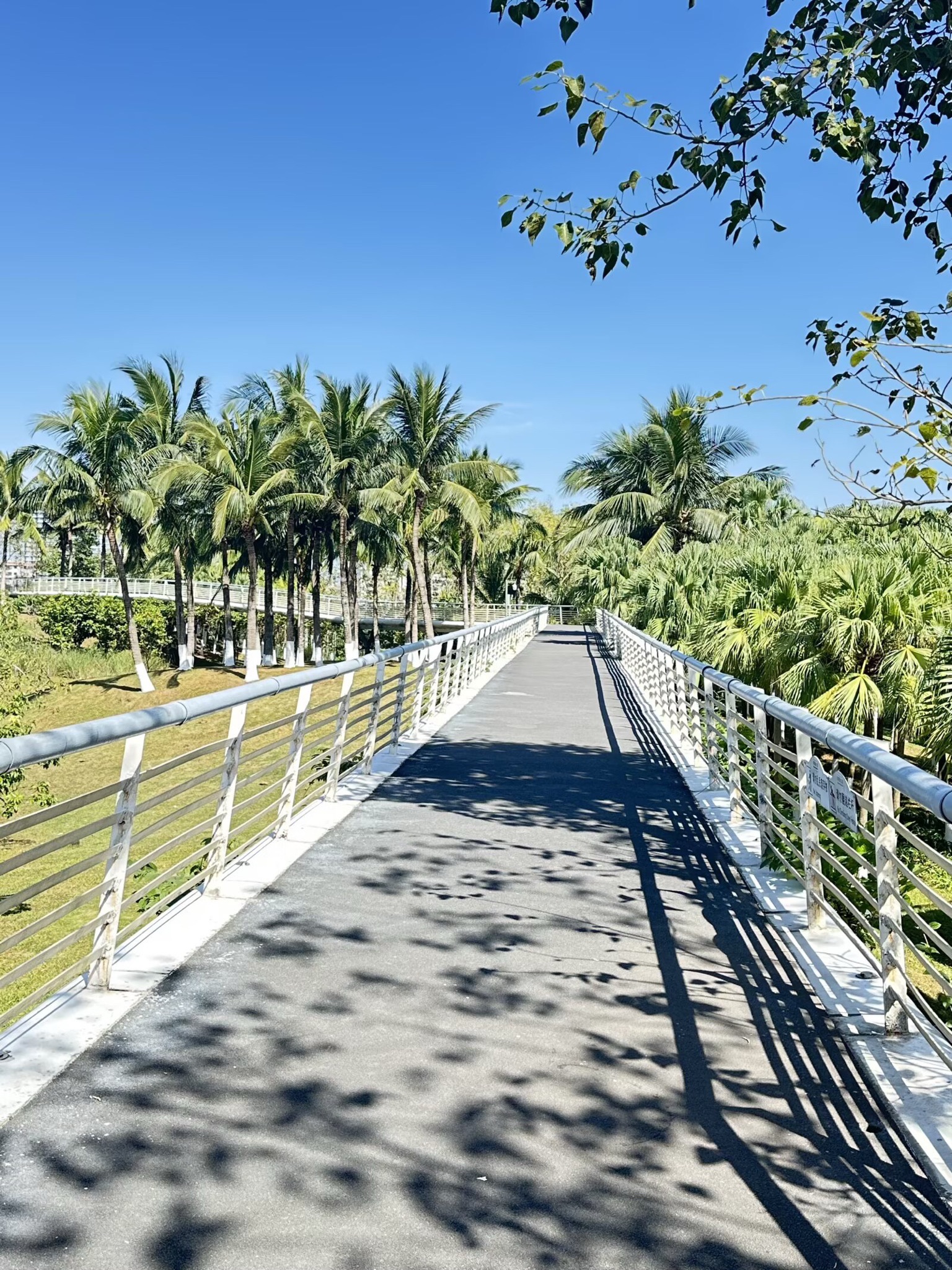 藤根河湿地公园