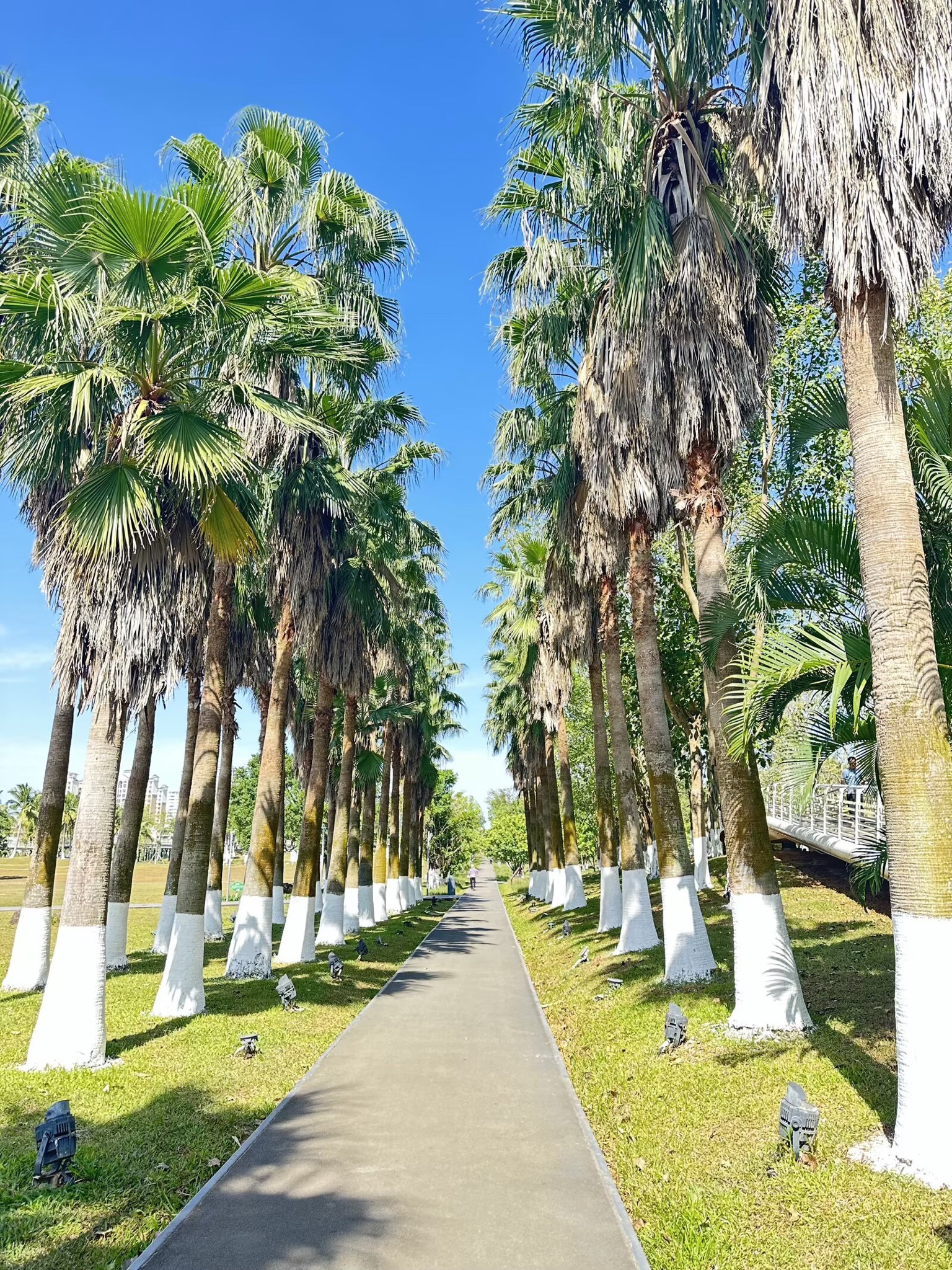 藤根河湿地公园