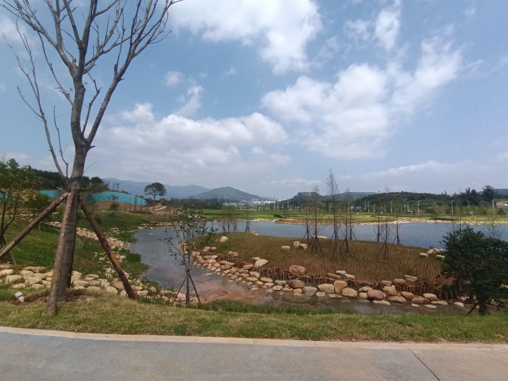 龙州湿地旅行图片 1