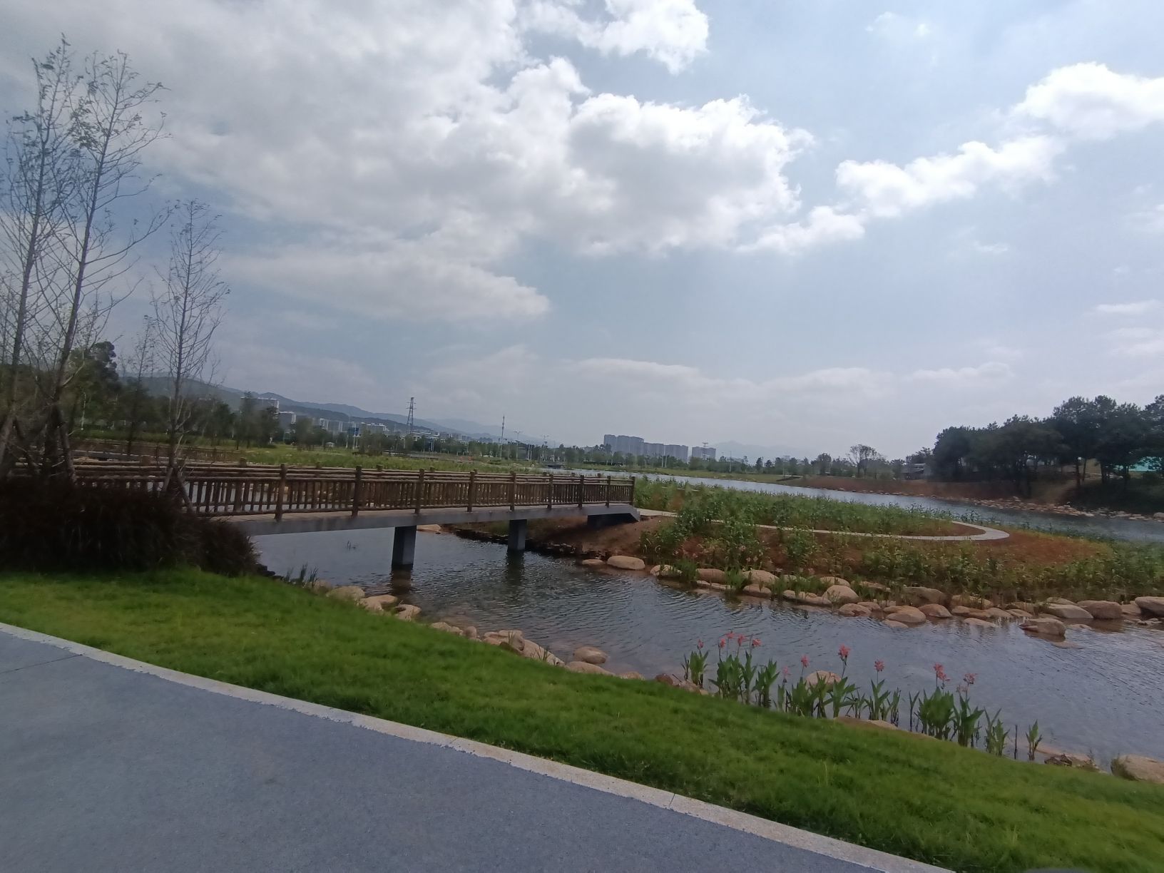 龙州湿地旅行图片 2