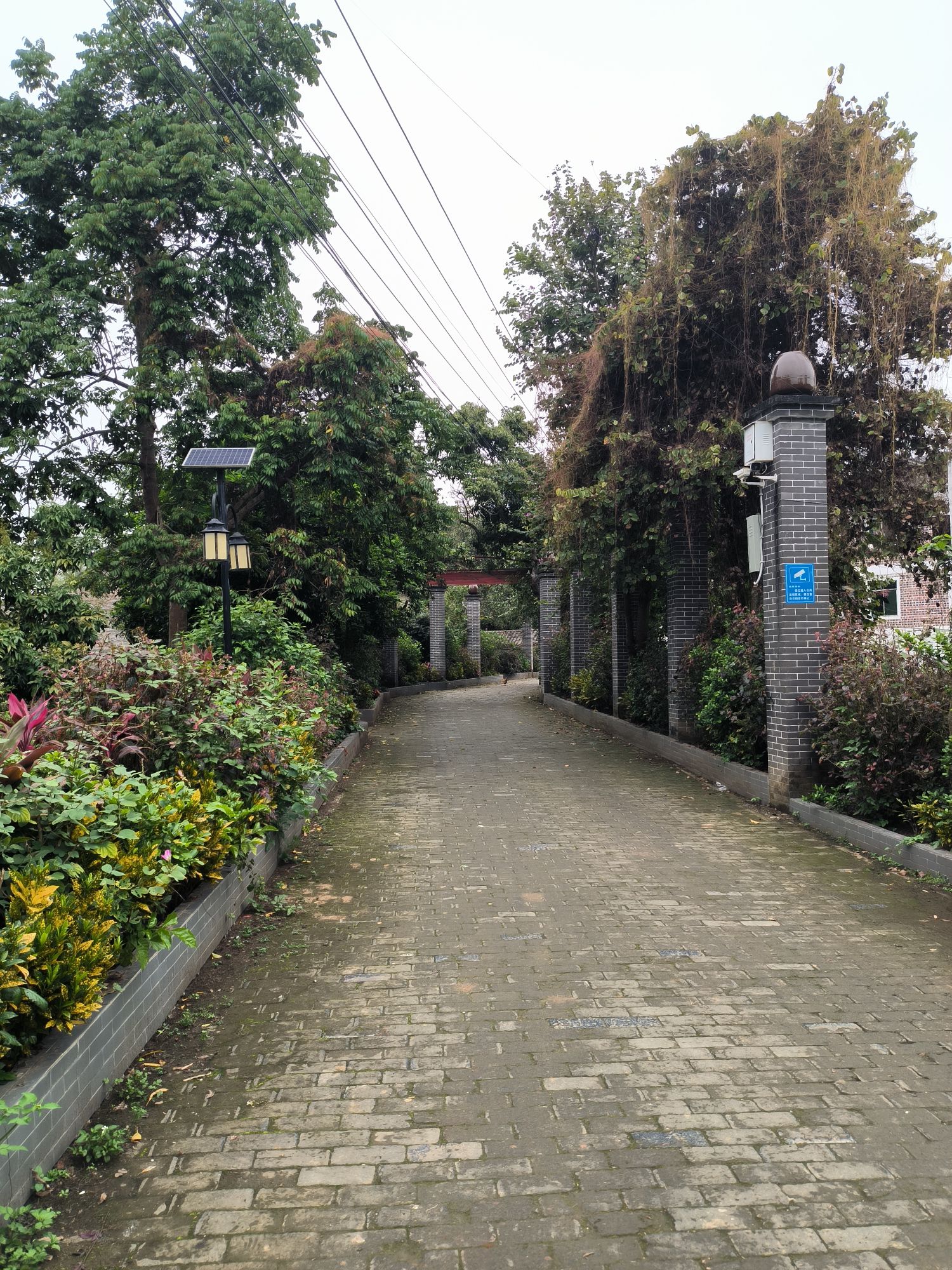 广西麻子畲红色文化旅游区旅行图片 1