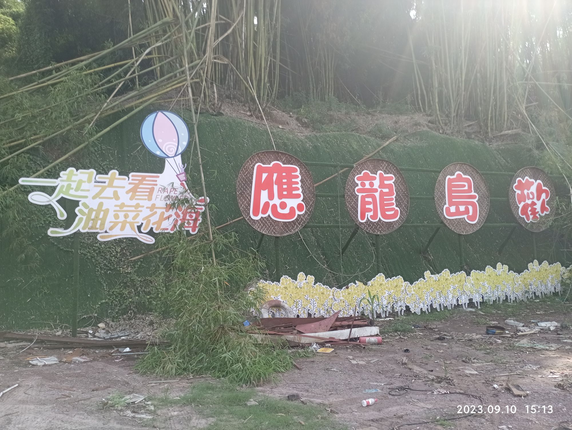 武胜应龙岛旅行图片 1