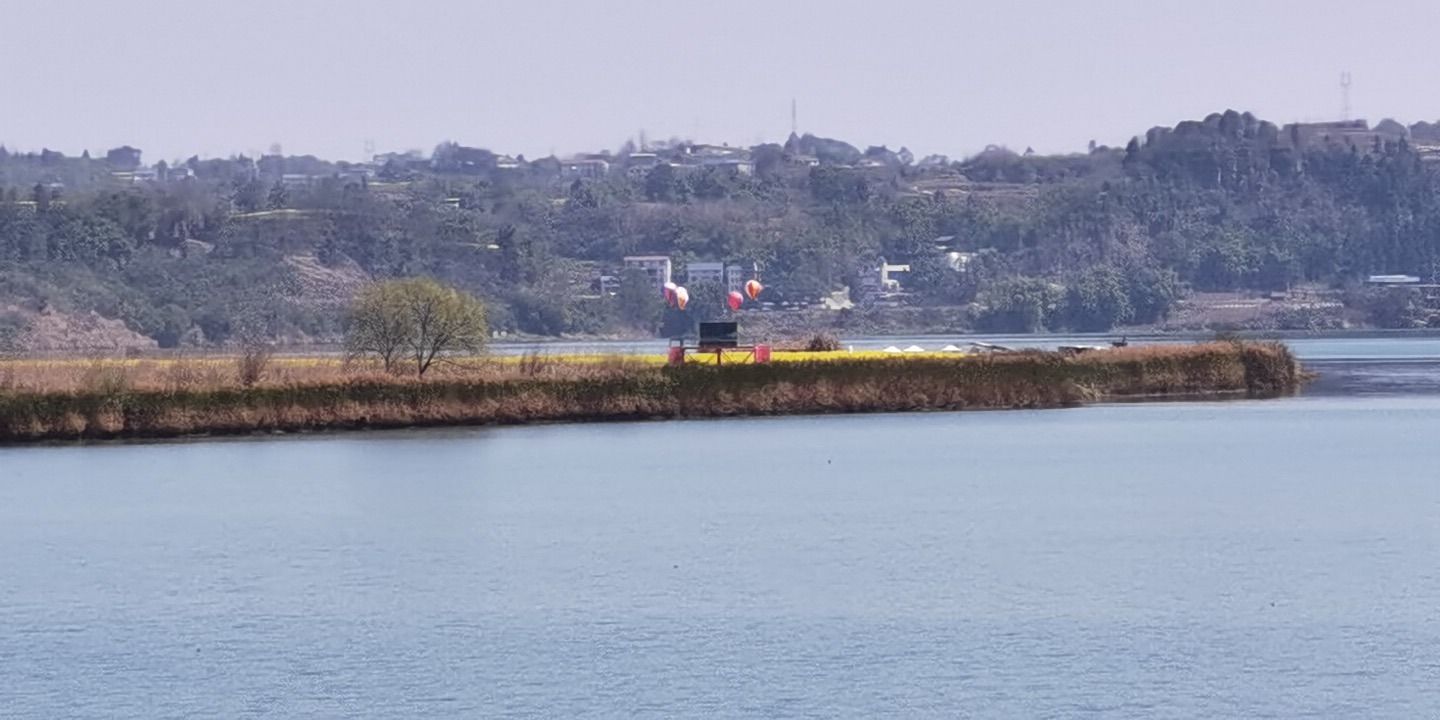 应龙岛